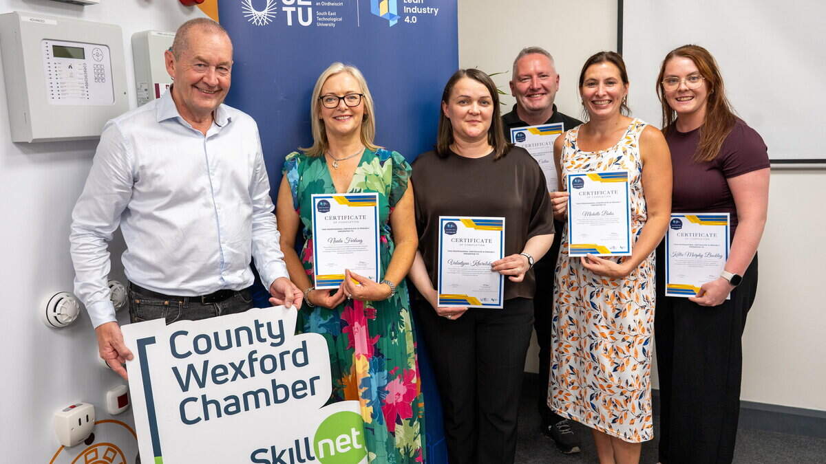 Wexford businesses put Lean learning into action