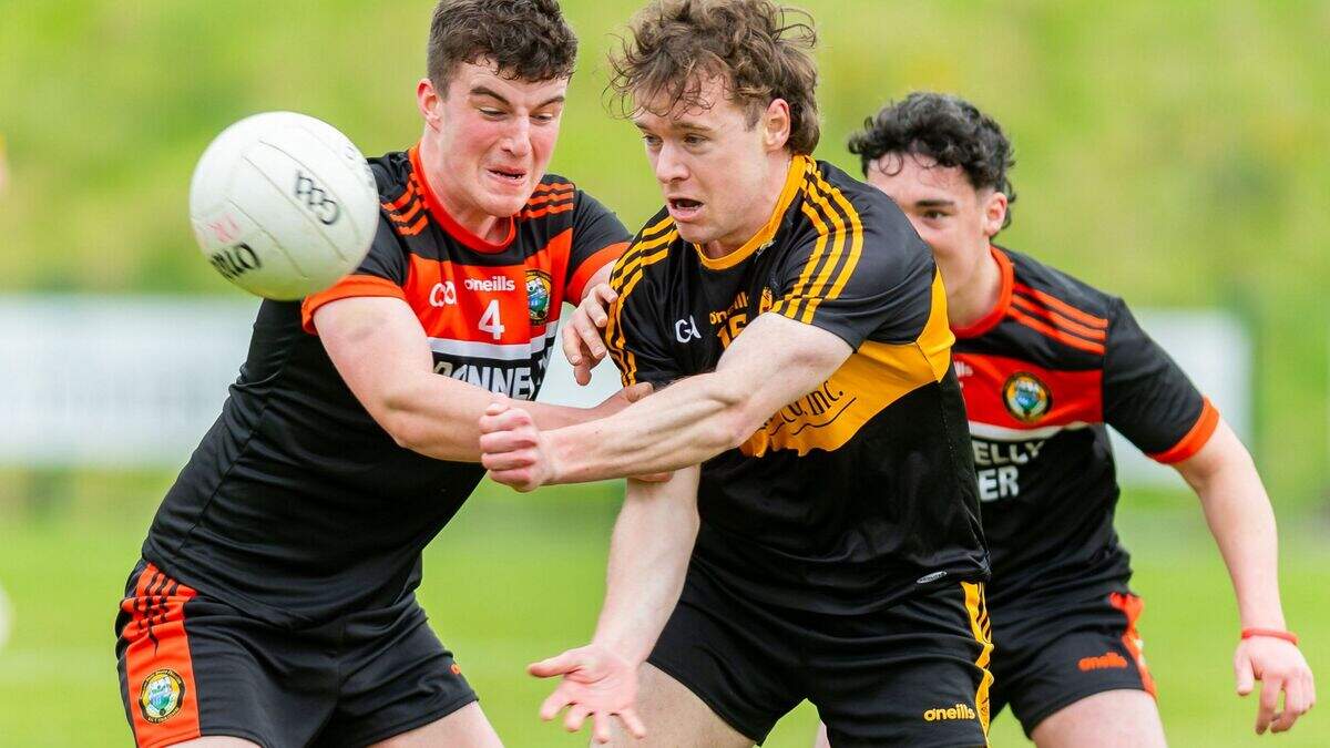 Kerry Football League Division 4: Brosna win to keep pressure on Beale ...