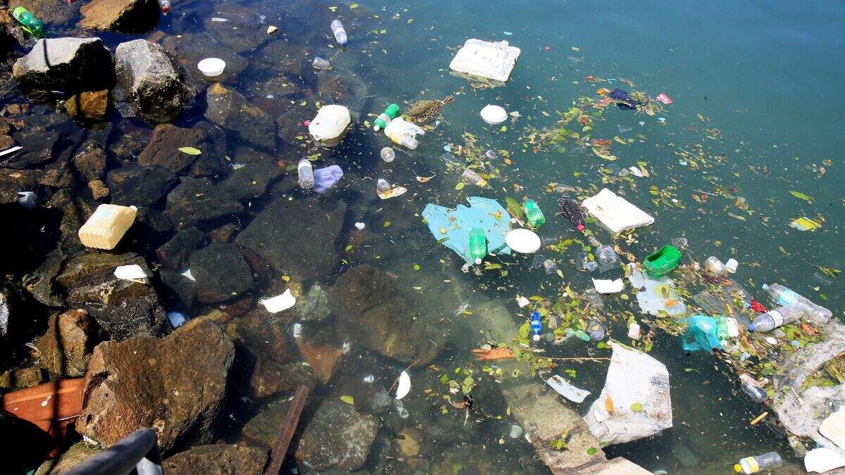 Chronic bowel disease linked to exposure to microplastics | Irish ...