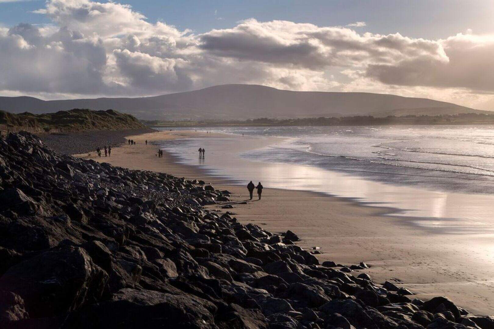 The crows of Strandhill inspire a new children’s book | Irish Independent