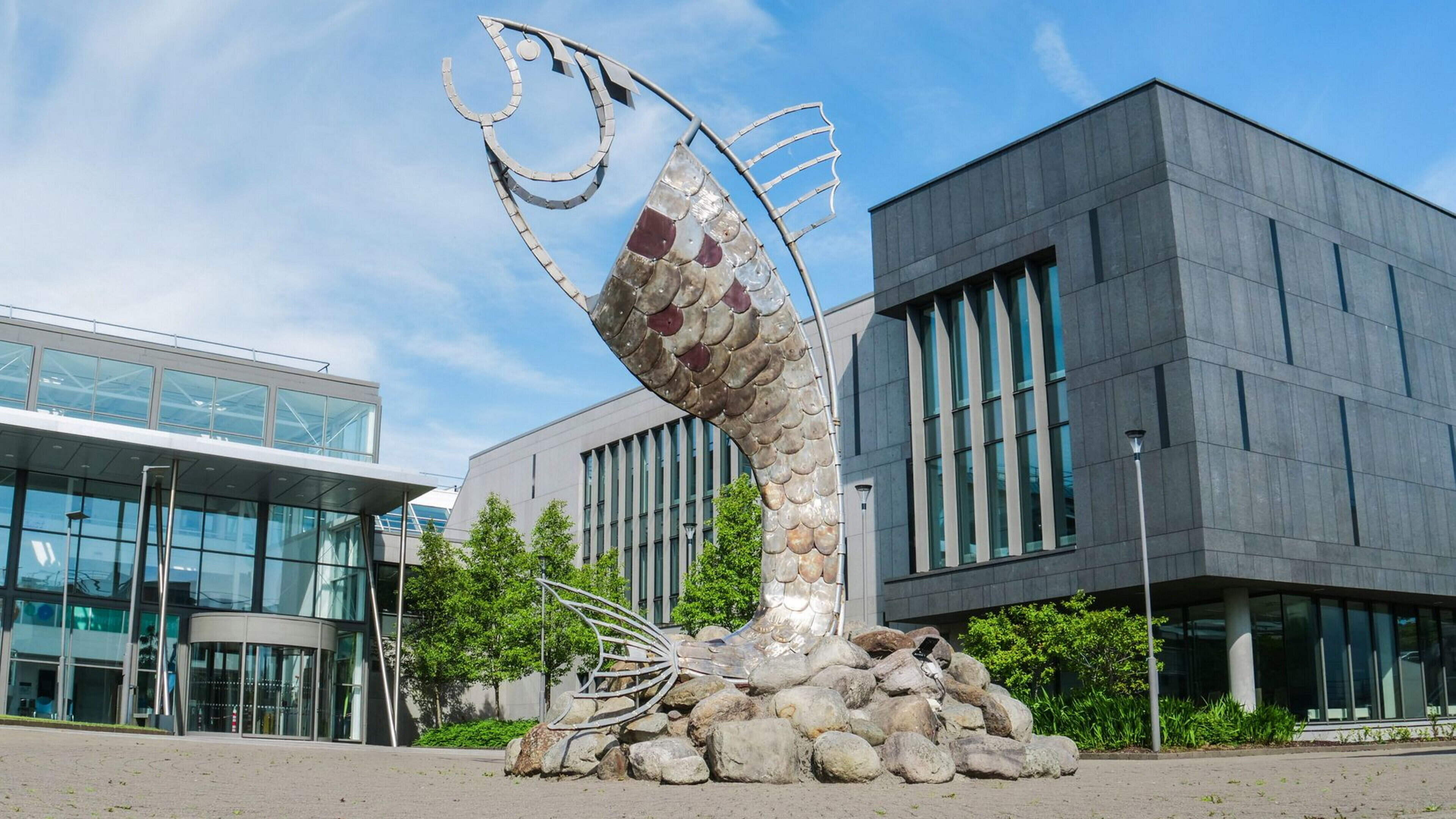 University spent over €200,000 on architects for €18m building it had to pause due to inflation