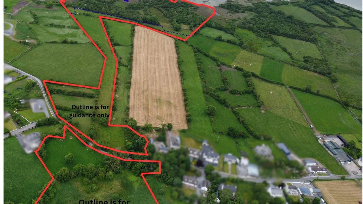 Grazing land and commonage on the banks of Lough Corrib for €230,000-290,000