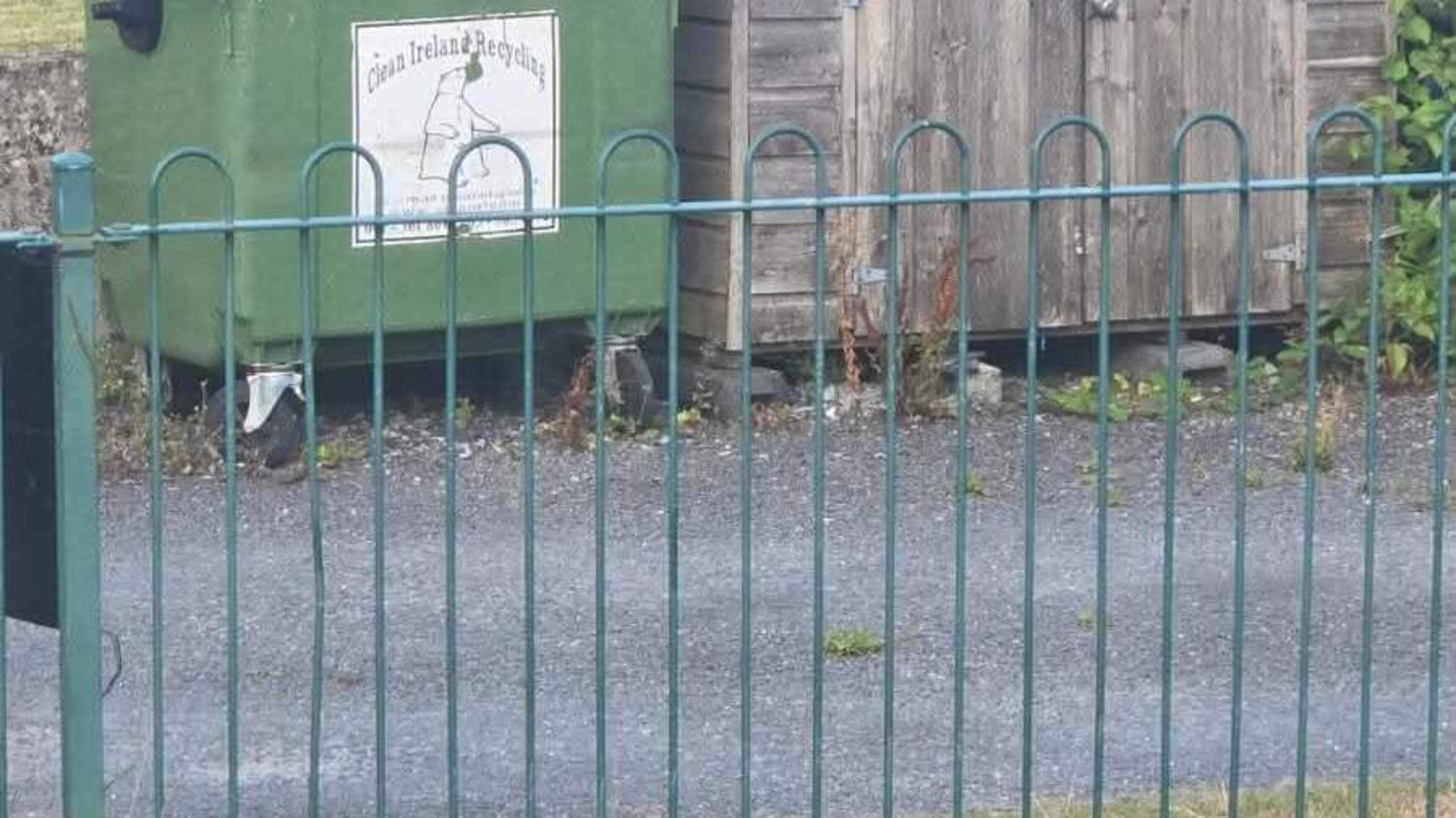 ‘Number of measures’ being taken after rats spotted in Clare children’s playground