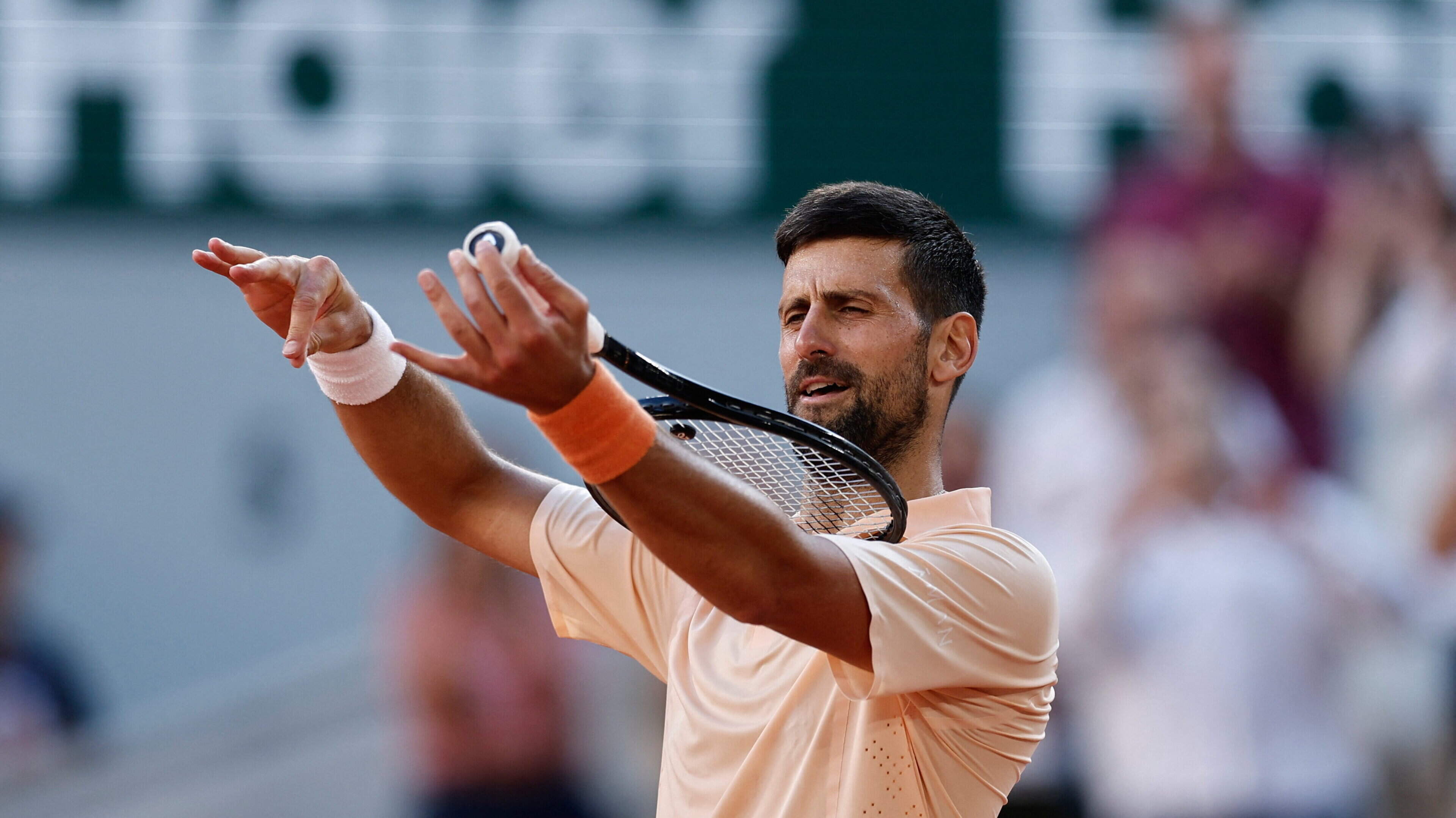 Novak Djokovic mocks Roland Garos crowd after being jeered during battling victory over home hopeful Valentin Royer