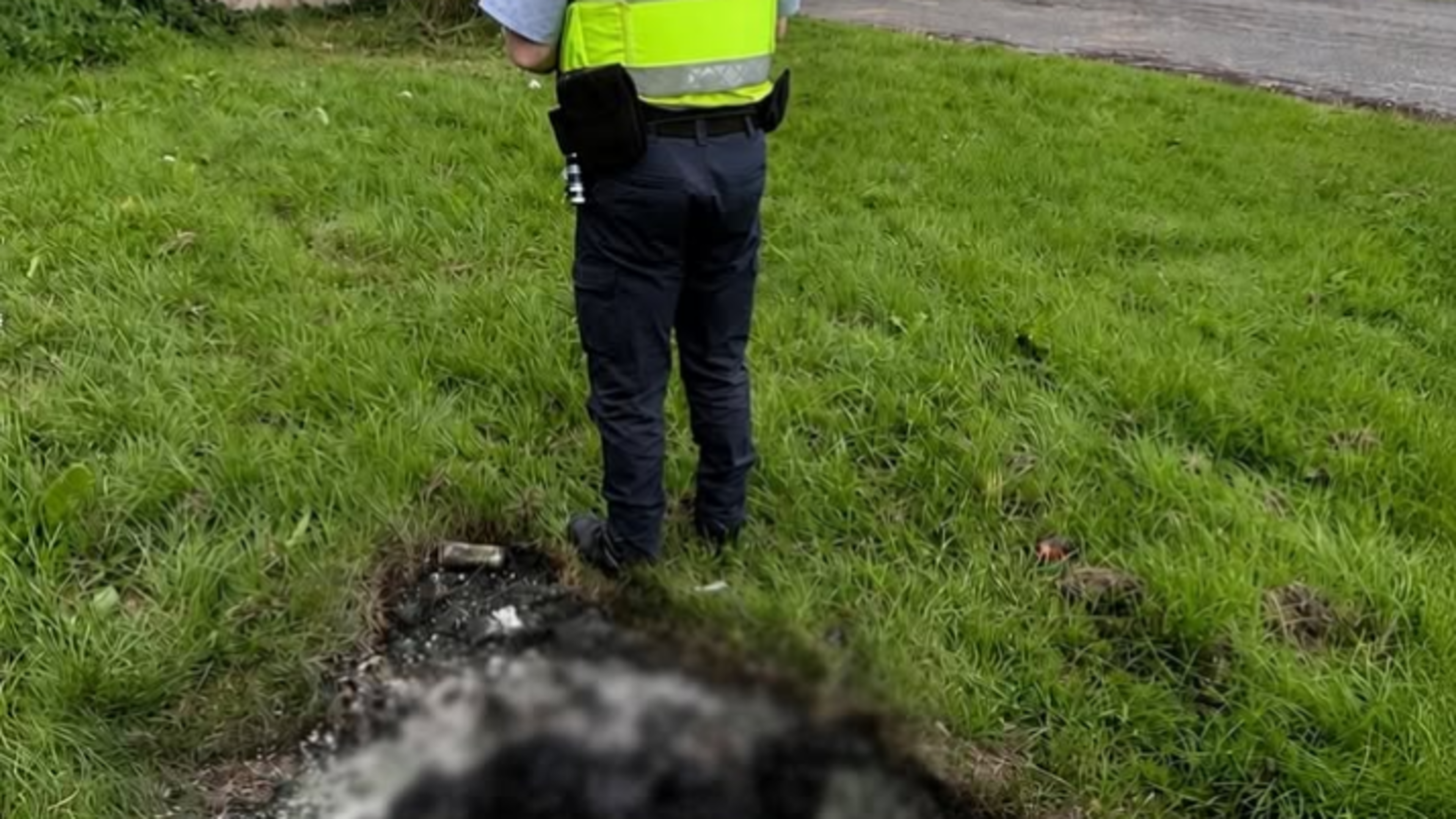 Gardaí investigating ‘deplorable’ act of cruelty as dog discovered burnt to death with pole lodged in body in north Dublin