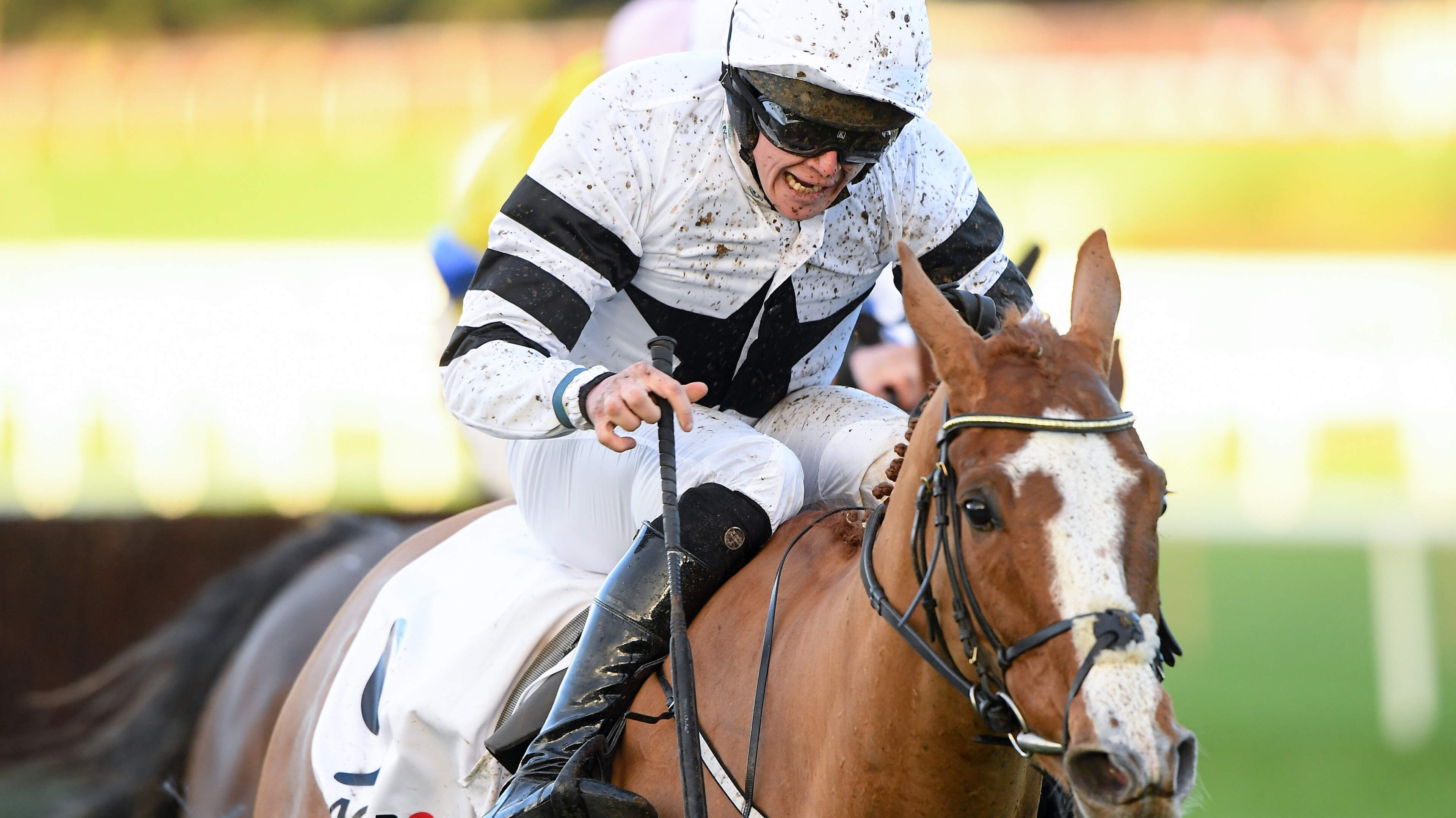 Wayne Bailey’s Irish racing preview: Grange Walk can make his mark at Kilbeggan