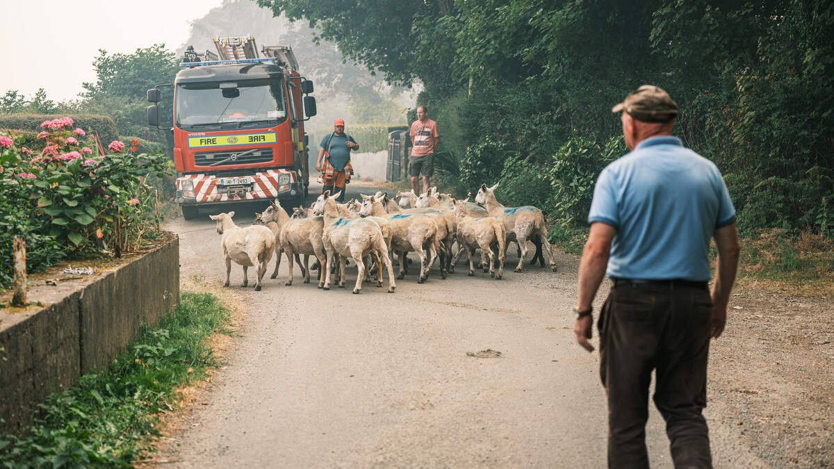 ‘I could see the whole thing unfolding': Farmer witnessed Slievenamon fire rapidly spread