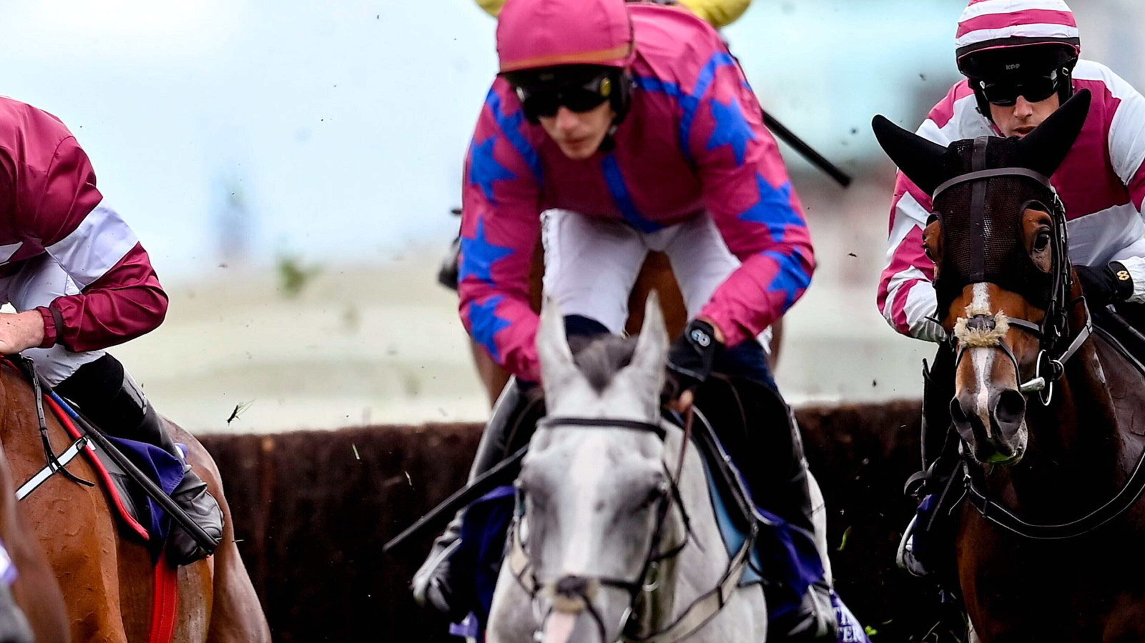Patrick Mullins: My Great Mate’s track experience can make him everyone’s friend on Day 2 of Galway Festival