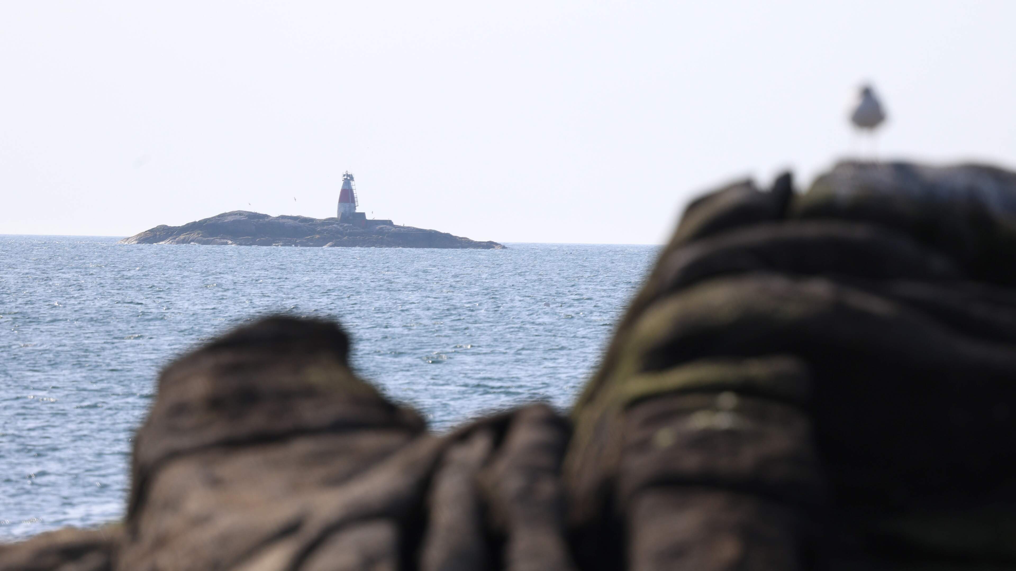 Sunshine to continue across Ireland, as temperatures set to hit 31C