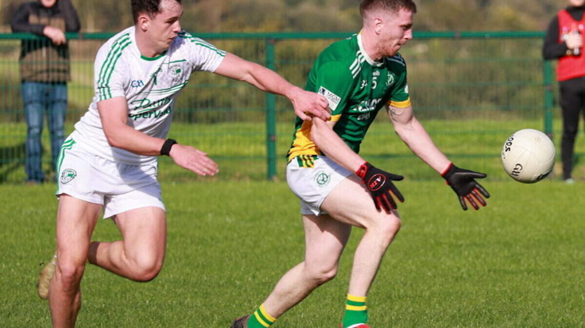 Wexford SFC: How the 12 teams stand ahead of the final round of group games