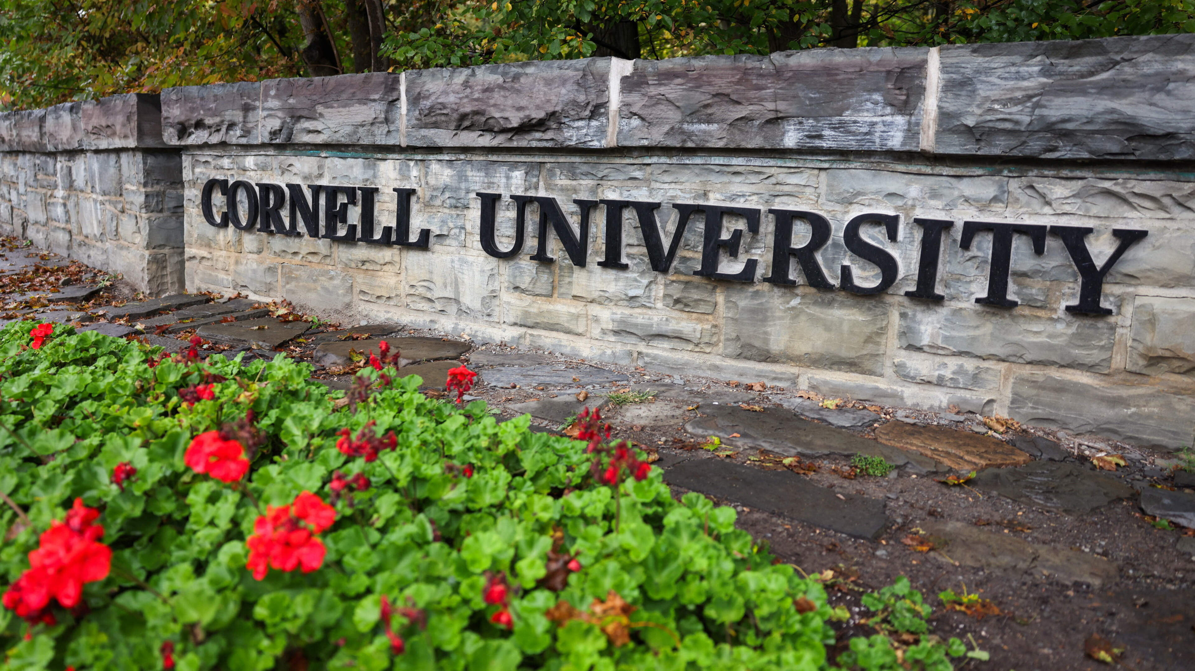 Explainer: What we know about the Cornell University rape investigation
