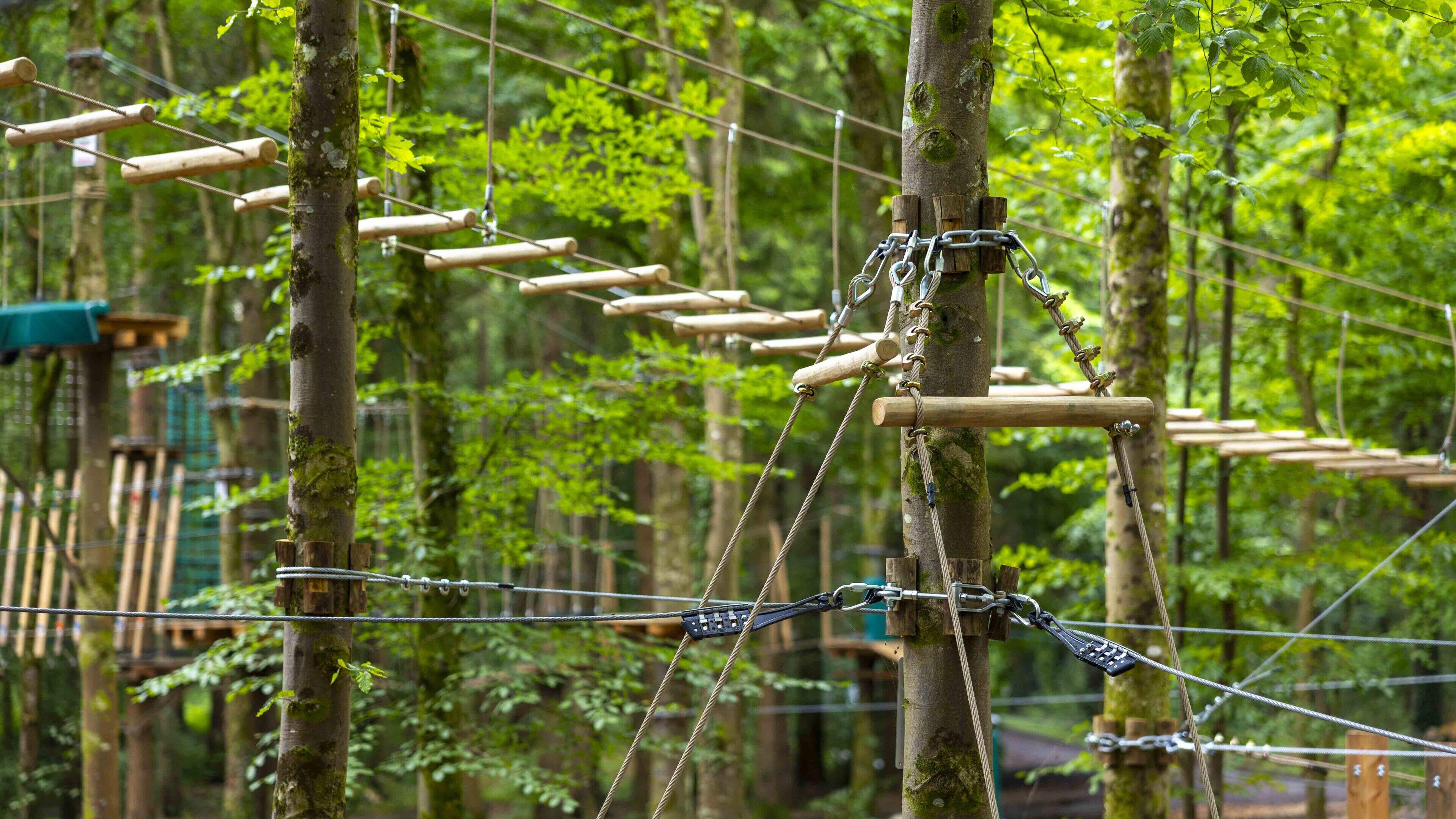New €1.5m Zipit forest adventure park opens in Kildare