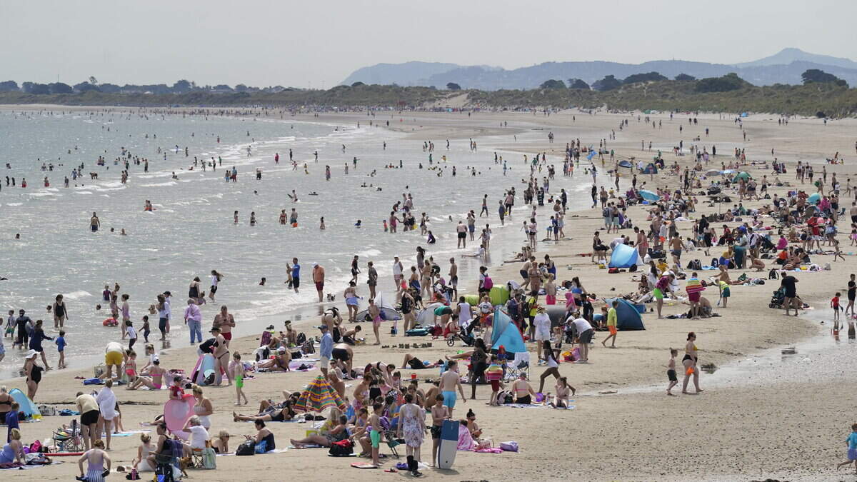 Barbecues and sun loungers in big demand, but cooler weather on the way