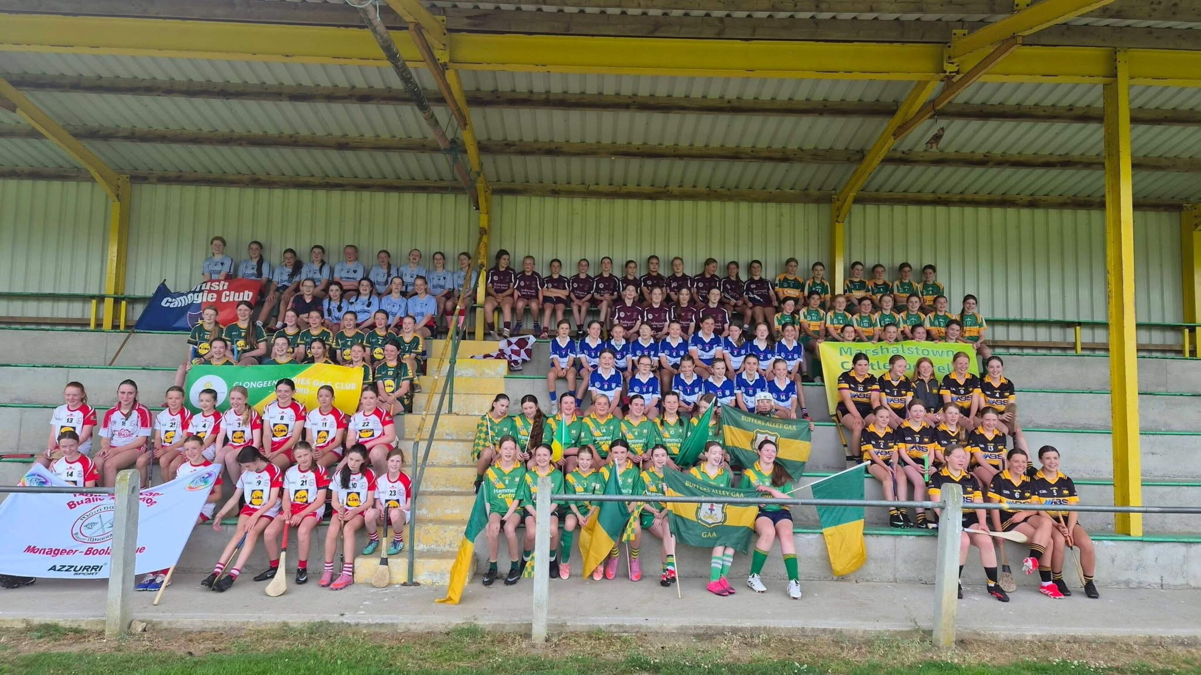 Memorial tournament honours legacy of late Wexford GAA stalwart 