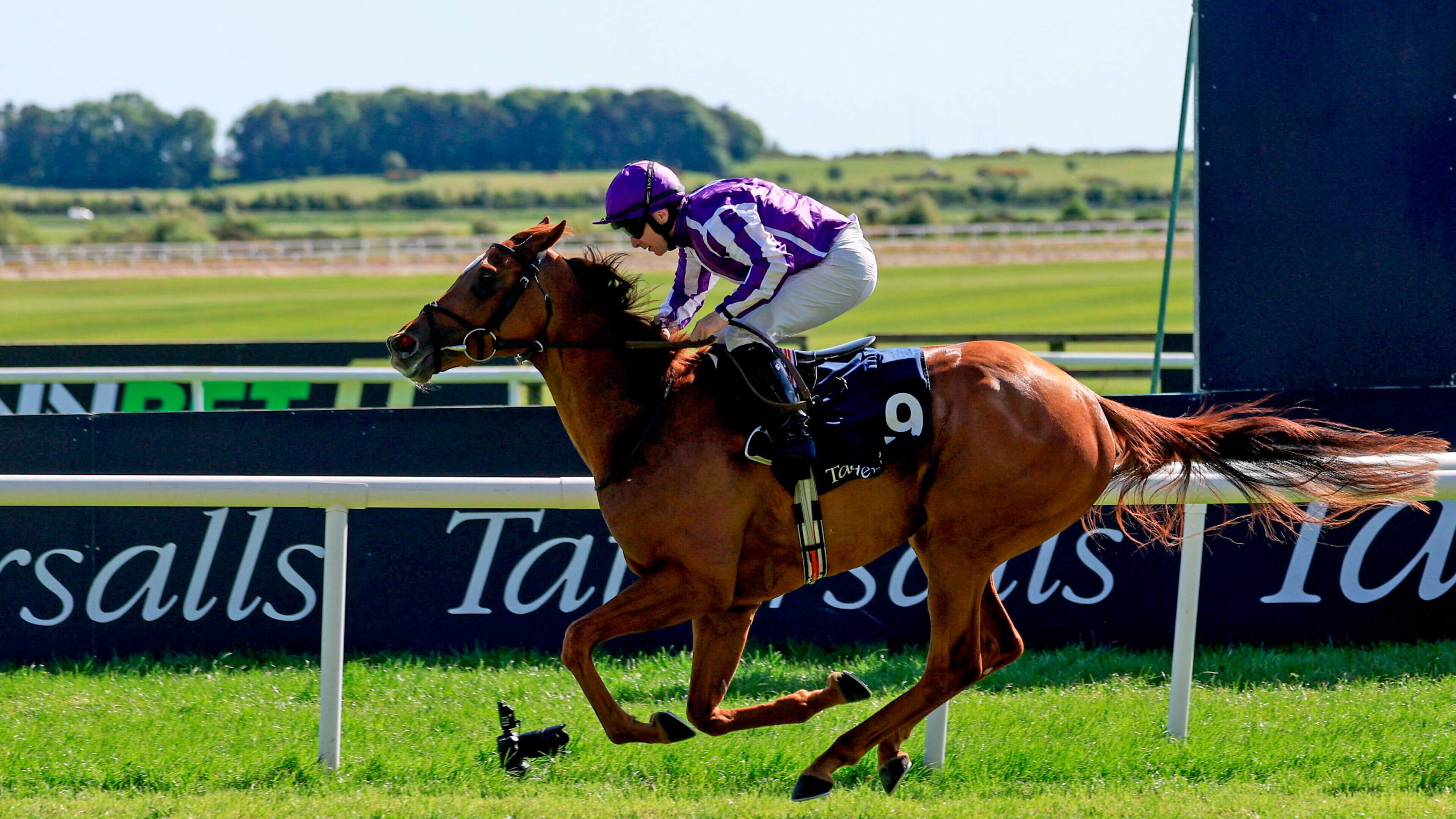 Precise gains revenge on stablemate True Love in Irish 1,000 Guineas to spearhead Aidan O’Brien hat-trick