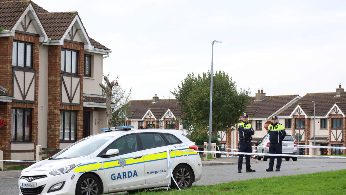 Die Gardaí warnen Streifenbeamte vor dem Auto einer Frau, das mit einem ...