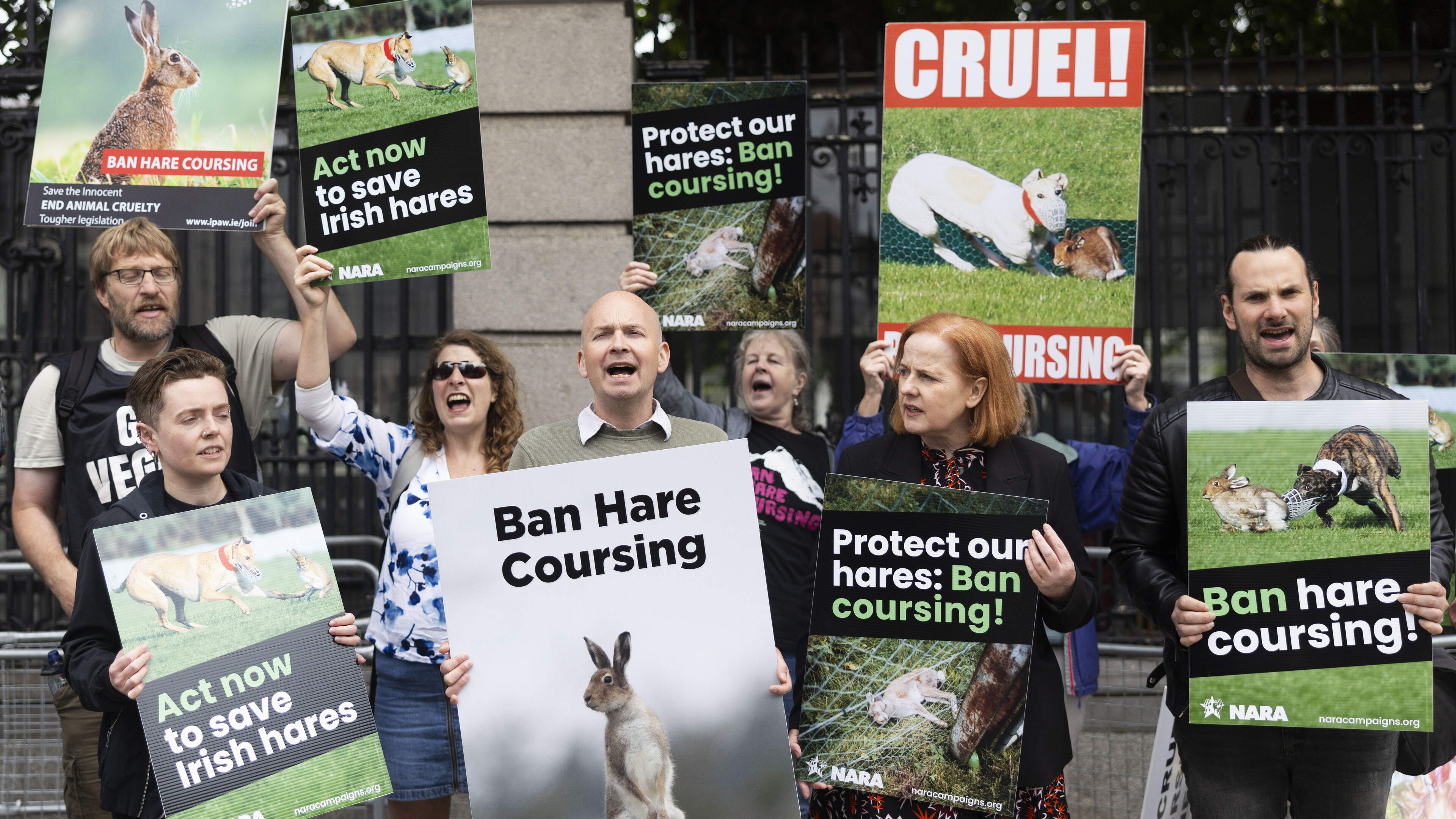 Bill to outlaw hare coursing set to fail in Dáil, despite nearly two-thirds of public favouring ban 