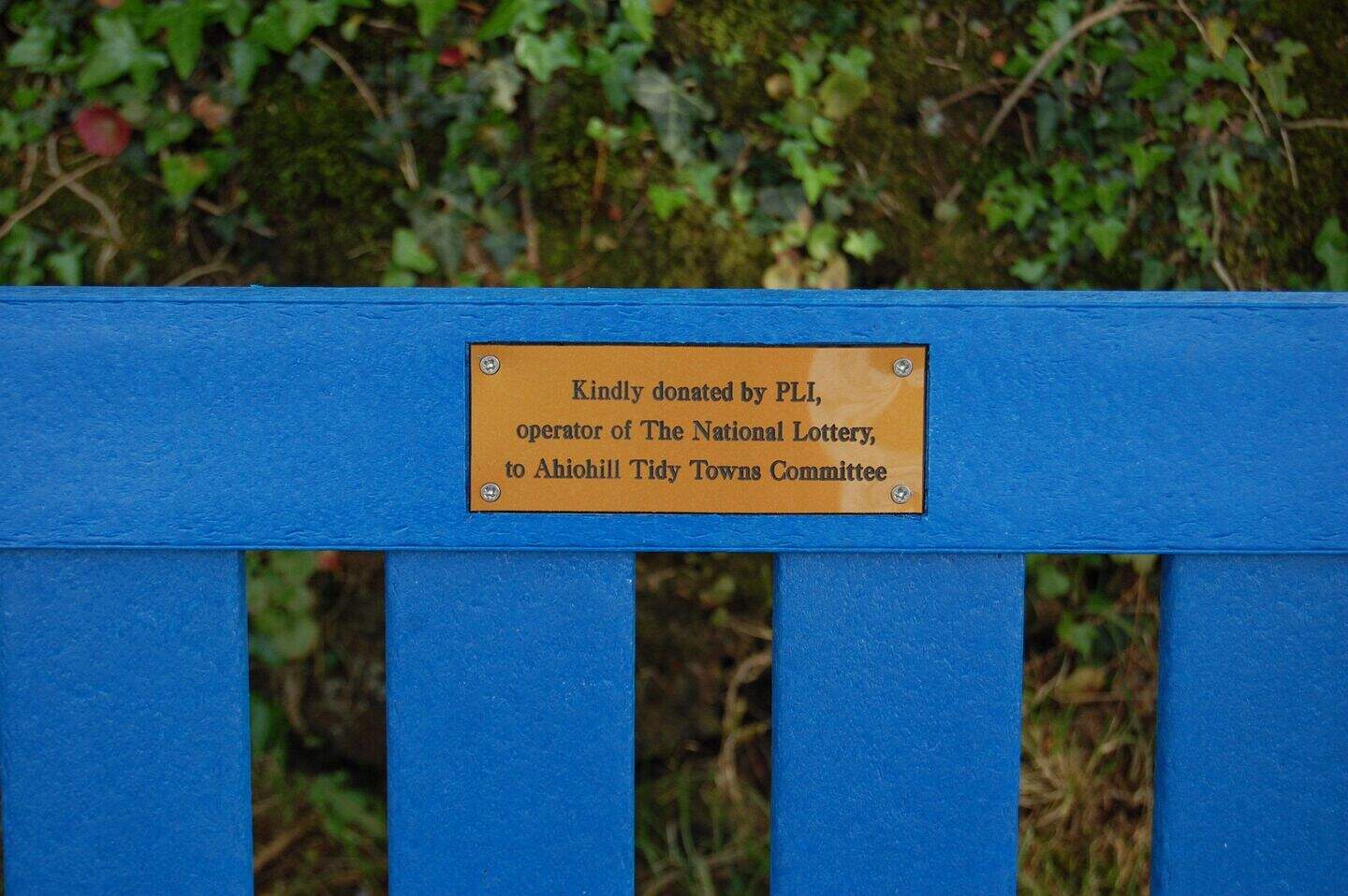 Cork volunteer’s good deed leads to village getting ‘beautiful’ new ...