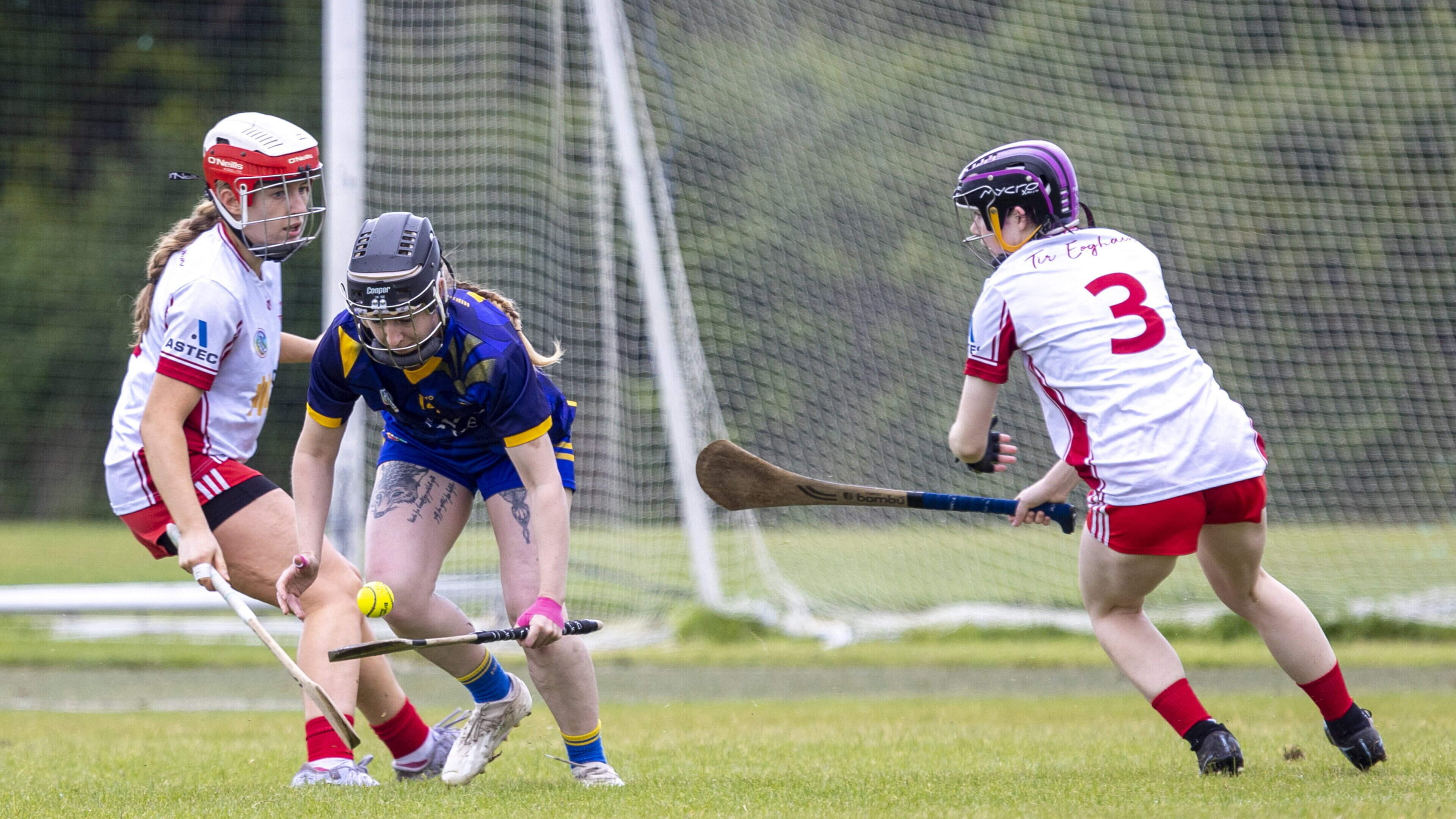 Wicklow fall to second consecutive defeat as Red H