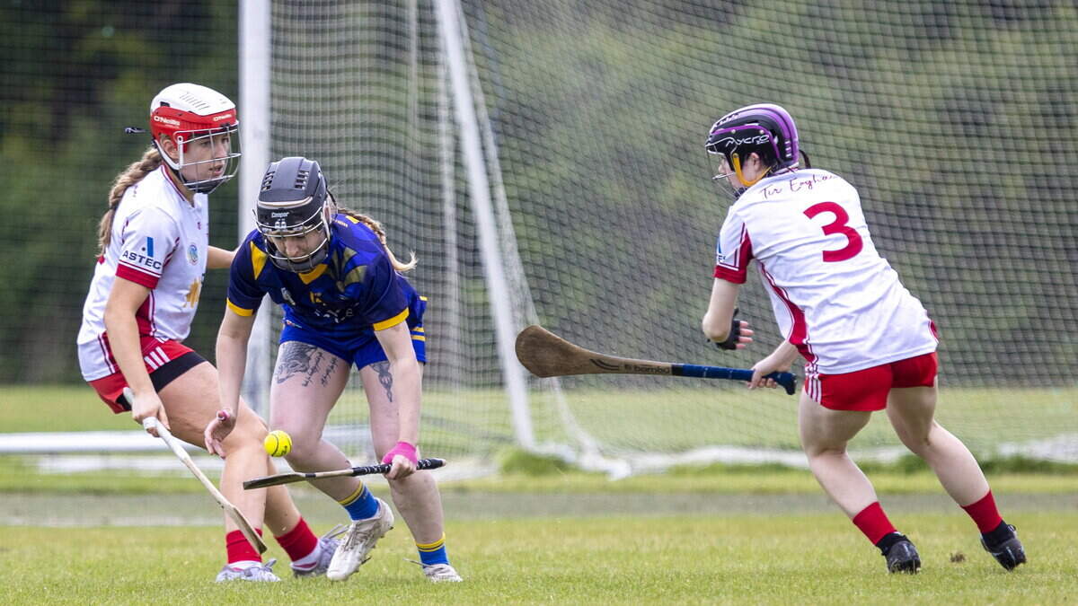 Wicklow fall to second consecutive defeat as Red Hand emerge victorious