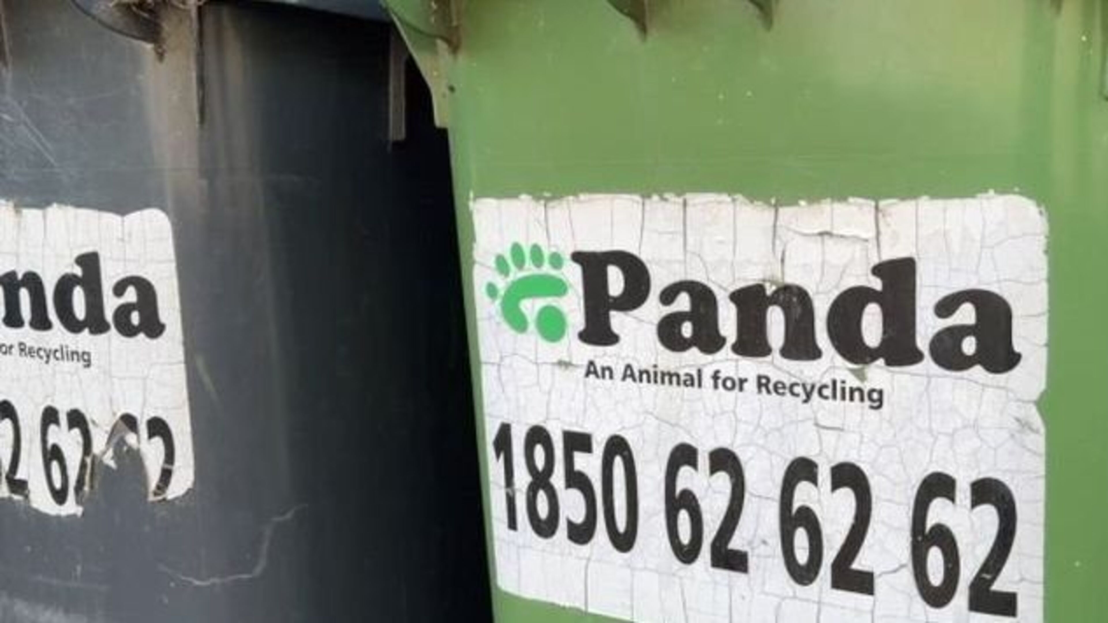 Panda to face trial over worker’s death at Dublin recycling plant