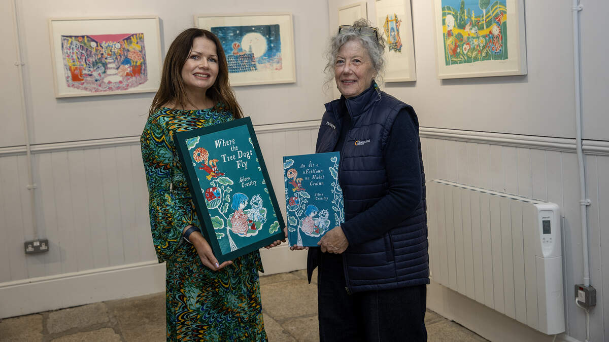 See photos as award-winning Wicklow artist launches lithograph exhibition