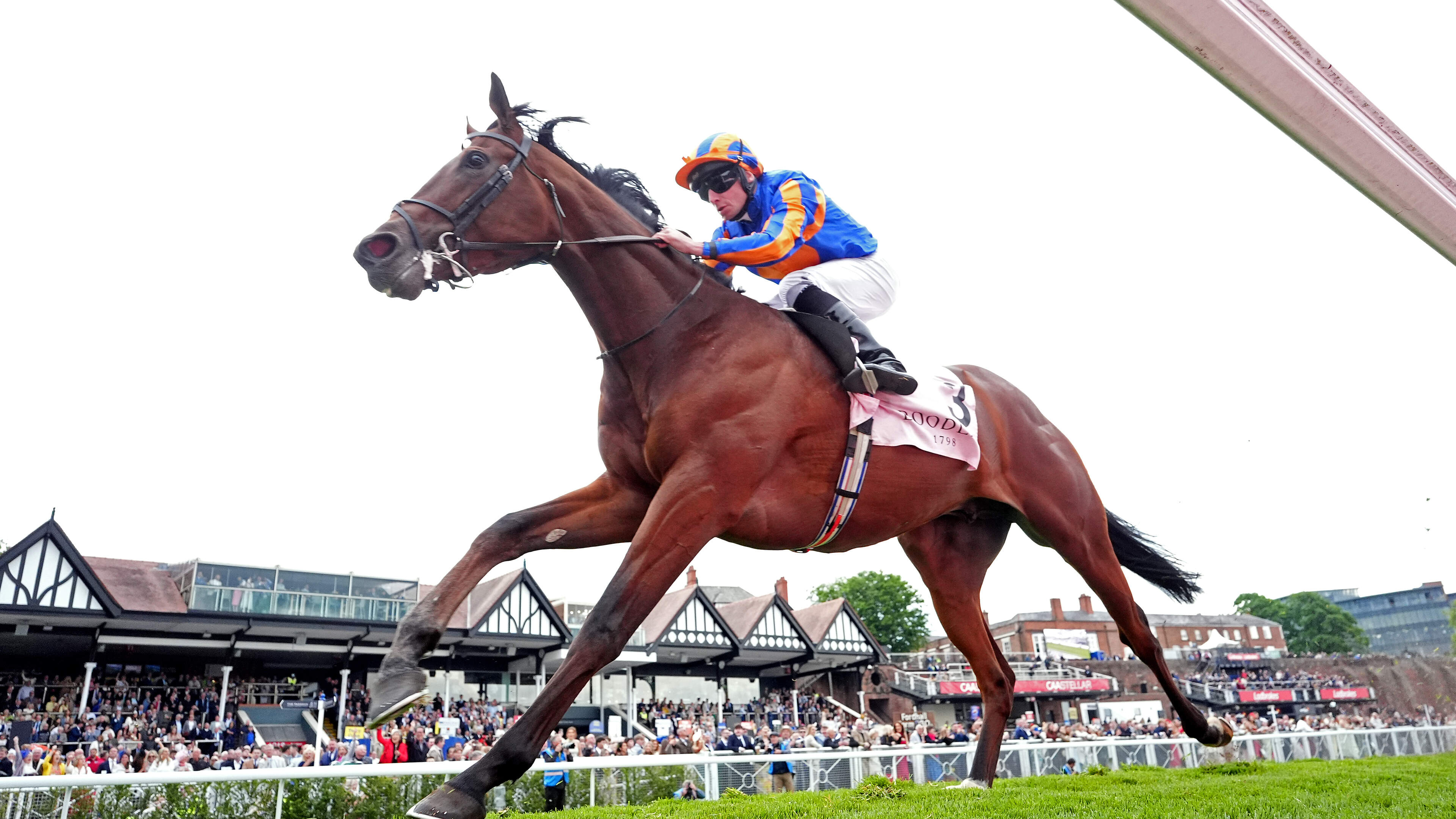 Aidan O'Brien-trained Constitution River and Ombudsman set for clash of the titans in York feature