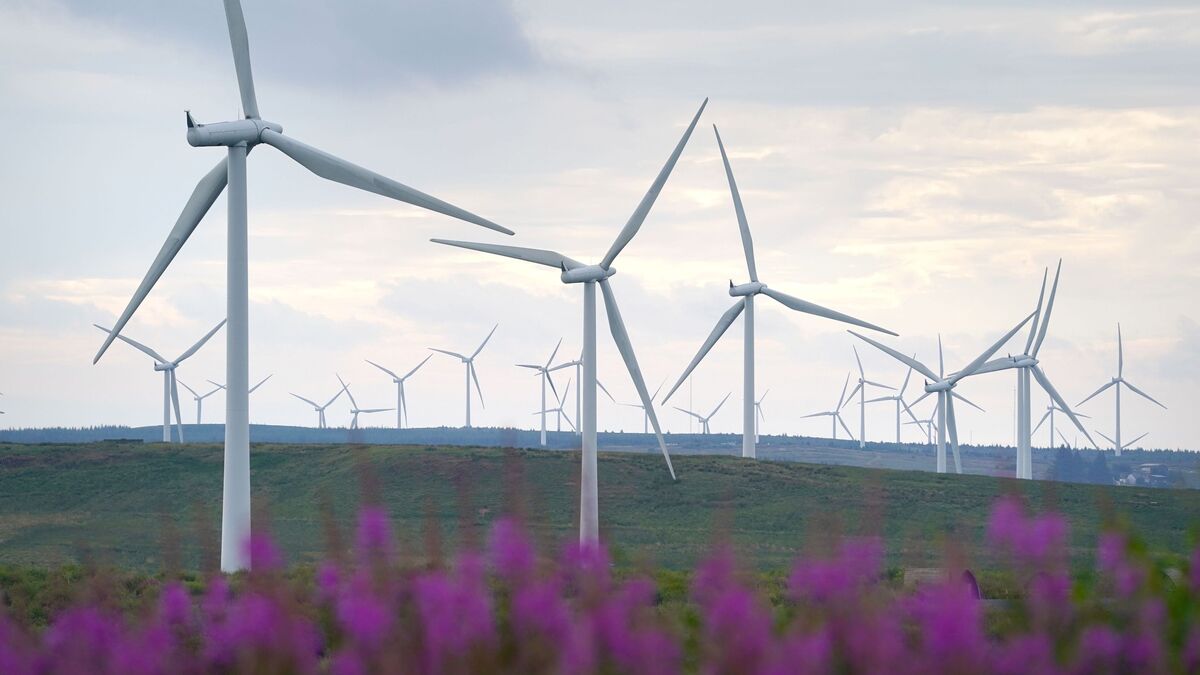 EirGrid says risk of winter power outages ‘notably' lower as buffer of more than 1,000MW in place