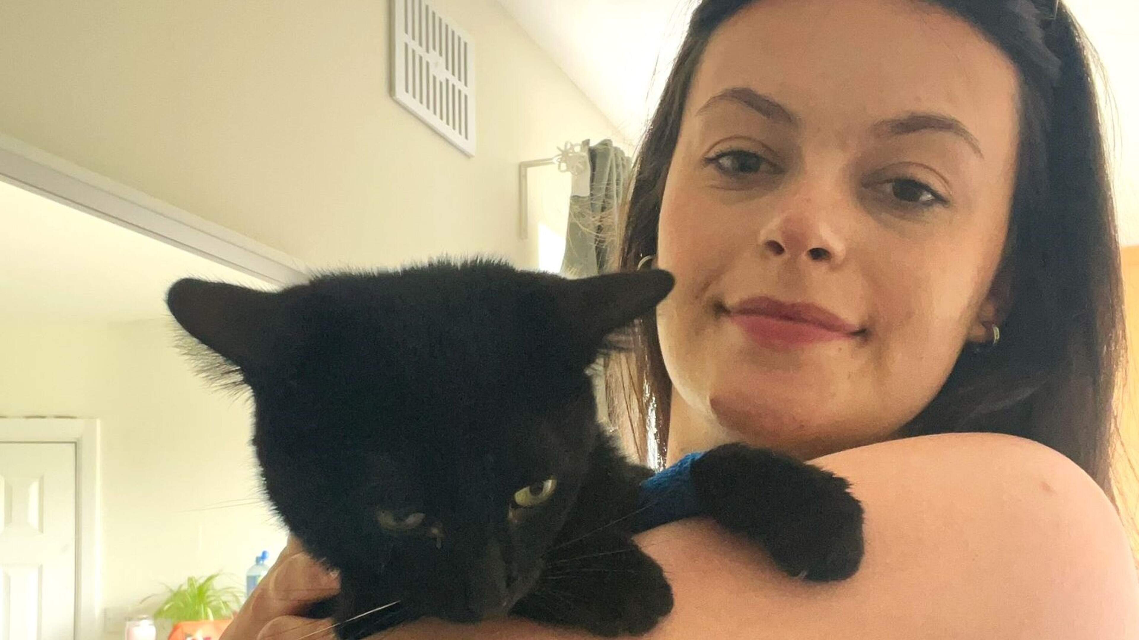 Wicklow woman in race against time to save one-year-old cat's life