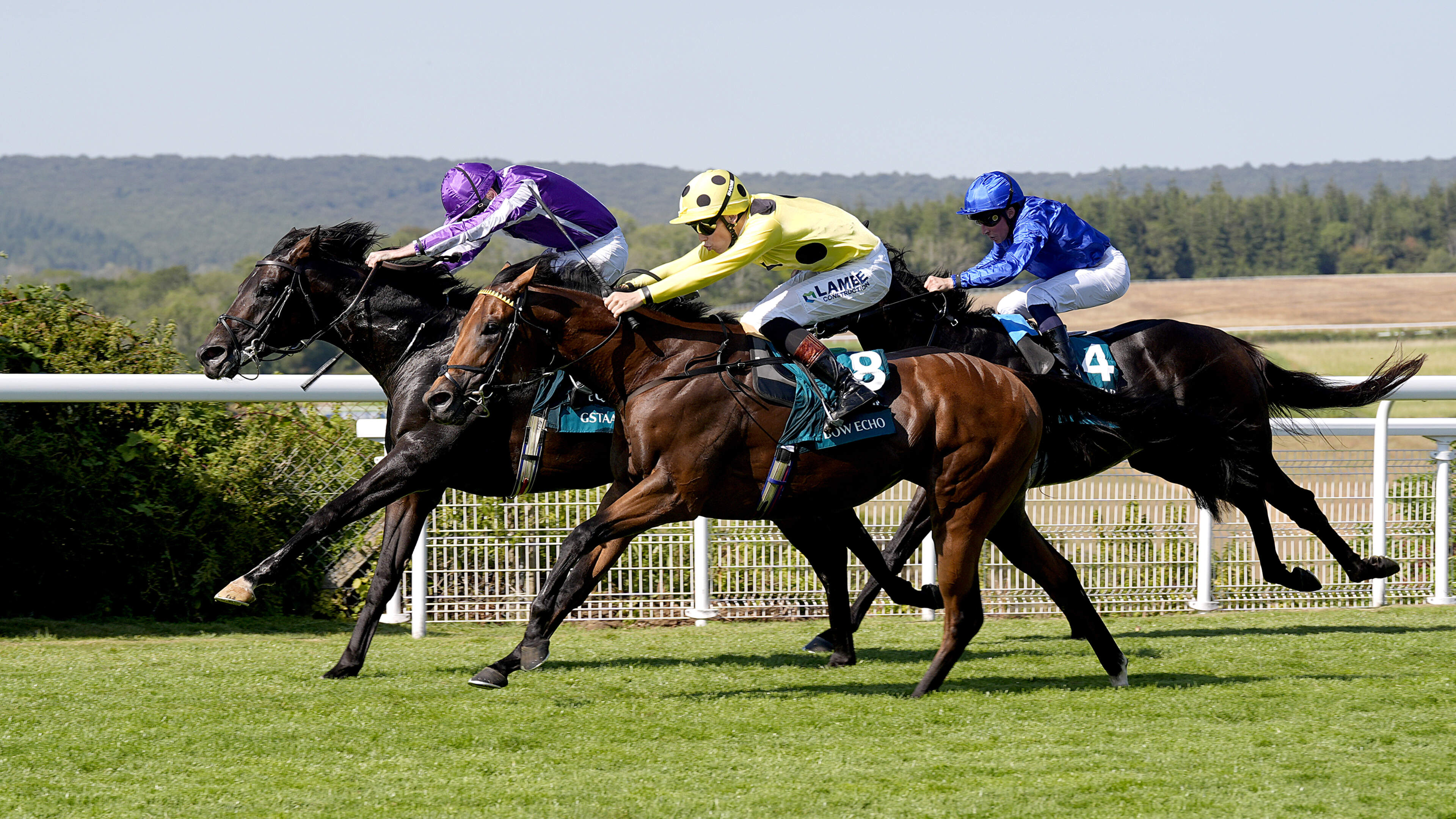 Bow Echo edges out Aidan O'Brien's Gstaad in Sussex Stakes thriller at Goodwood