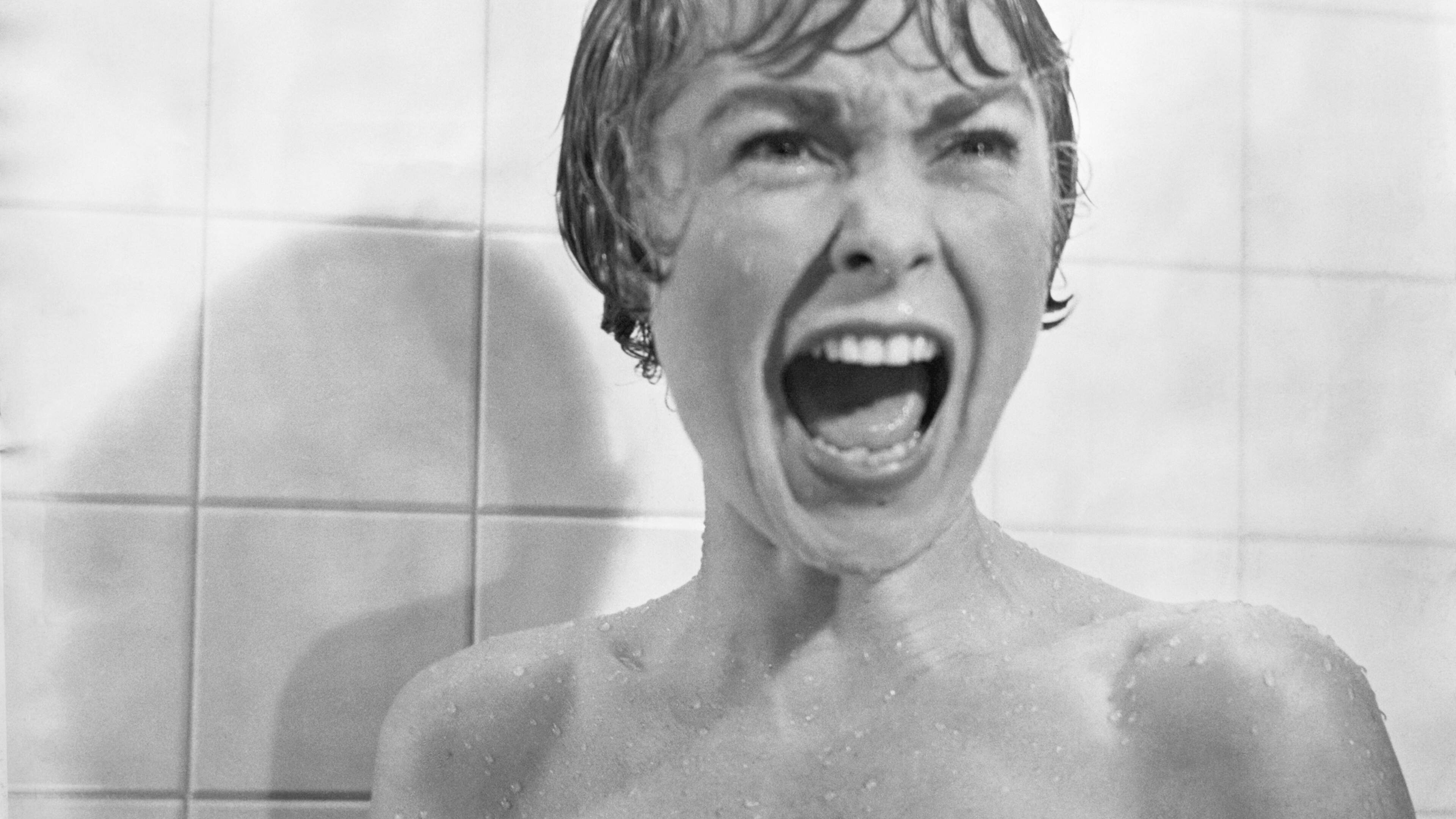 What if the leading lady fought back? A gorgeously grisly retelling of Psycho 