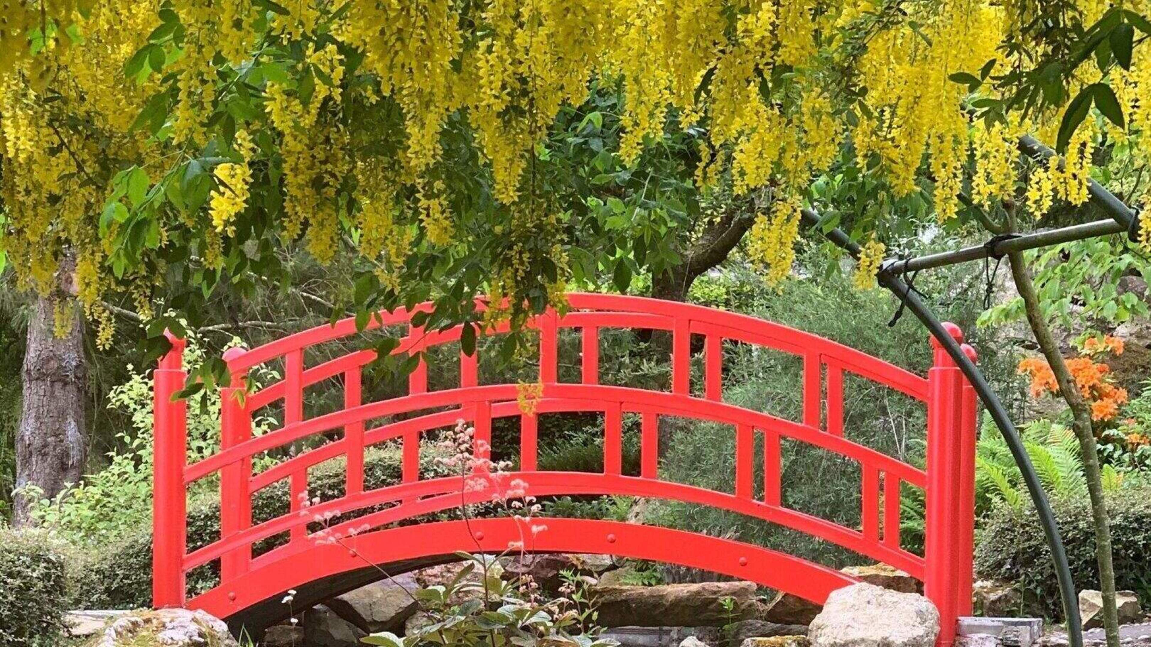 Former schoolhouse with Japanese inspired gardens in Wexford