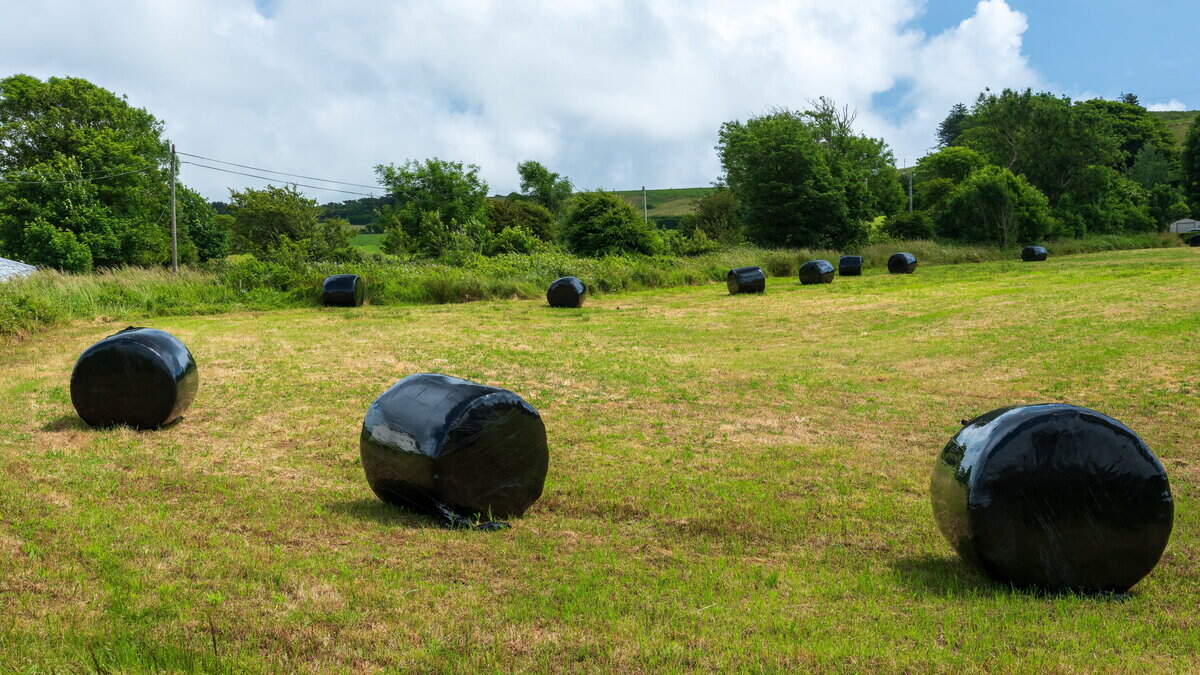 Fodder shortage fears see silage bales advertised for up to €45