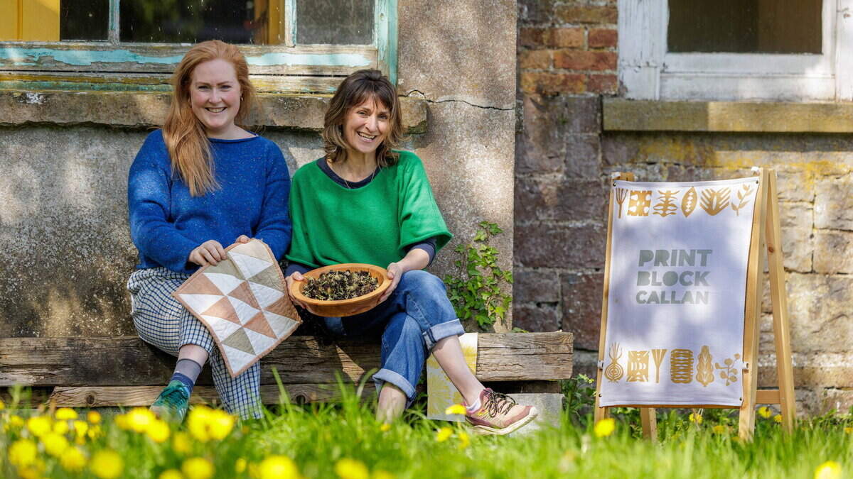 From nettles to ink: Kilkenny workshop connects art and biodiversity