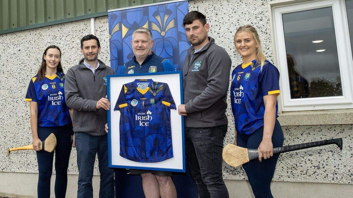 New sponsorship deal is an ‘ice’ boost for Wicklow camogie | Irish ...