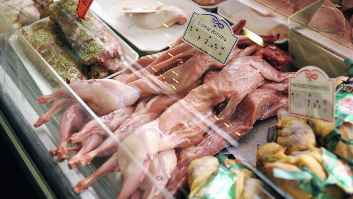 Jim O’Brien: Skinned rabbit carcasses brought memories hopping back ...