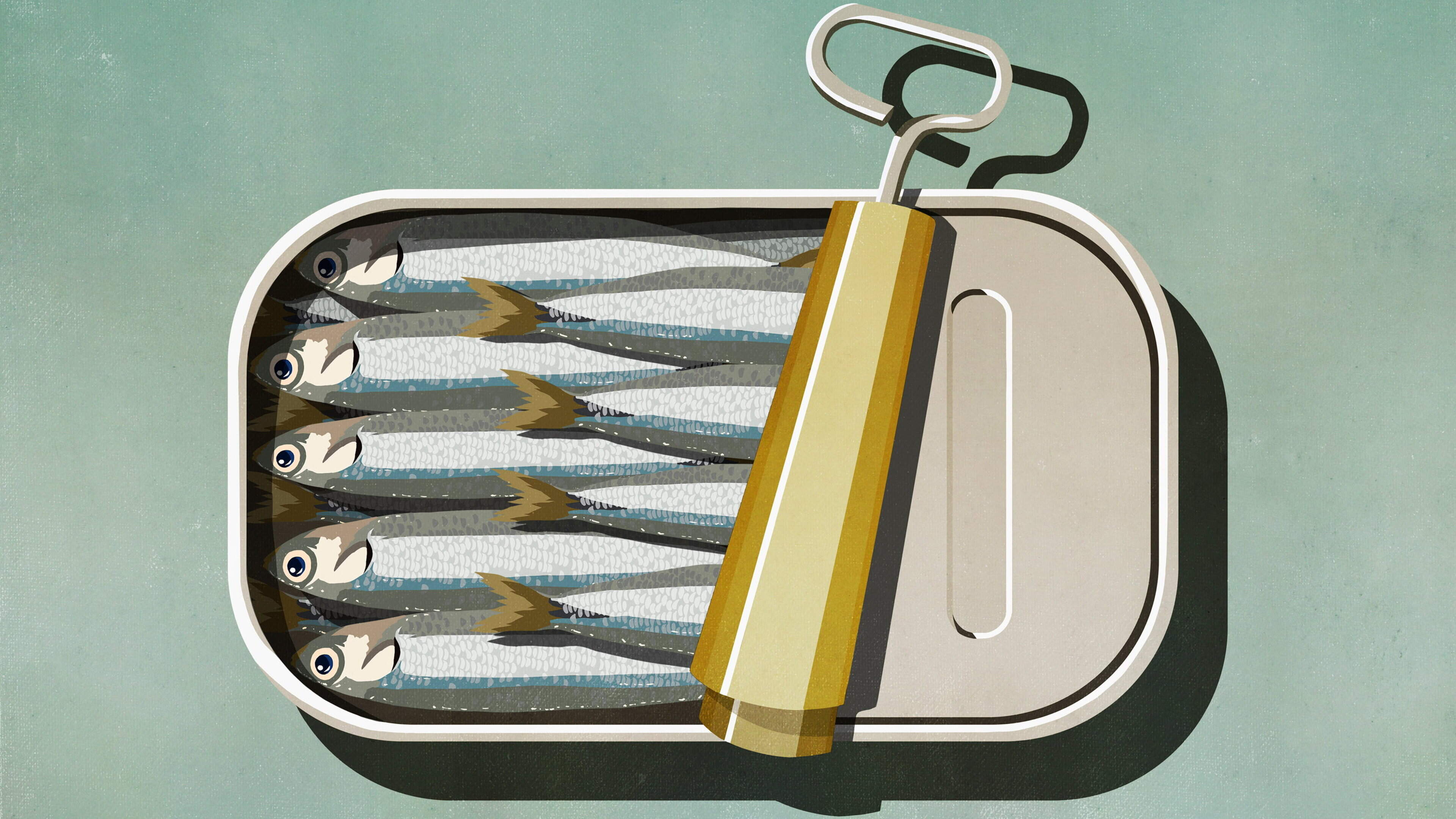Why sardines are sexy now: sales of humble fish soar after a social media makeover