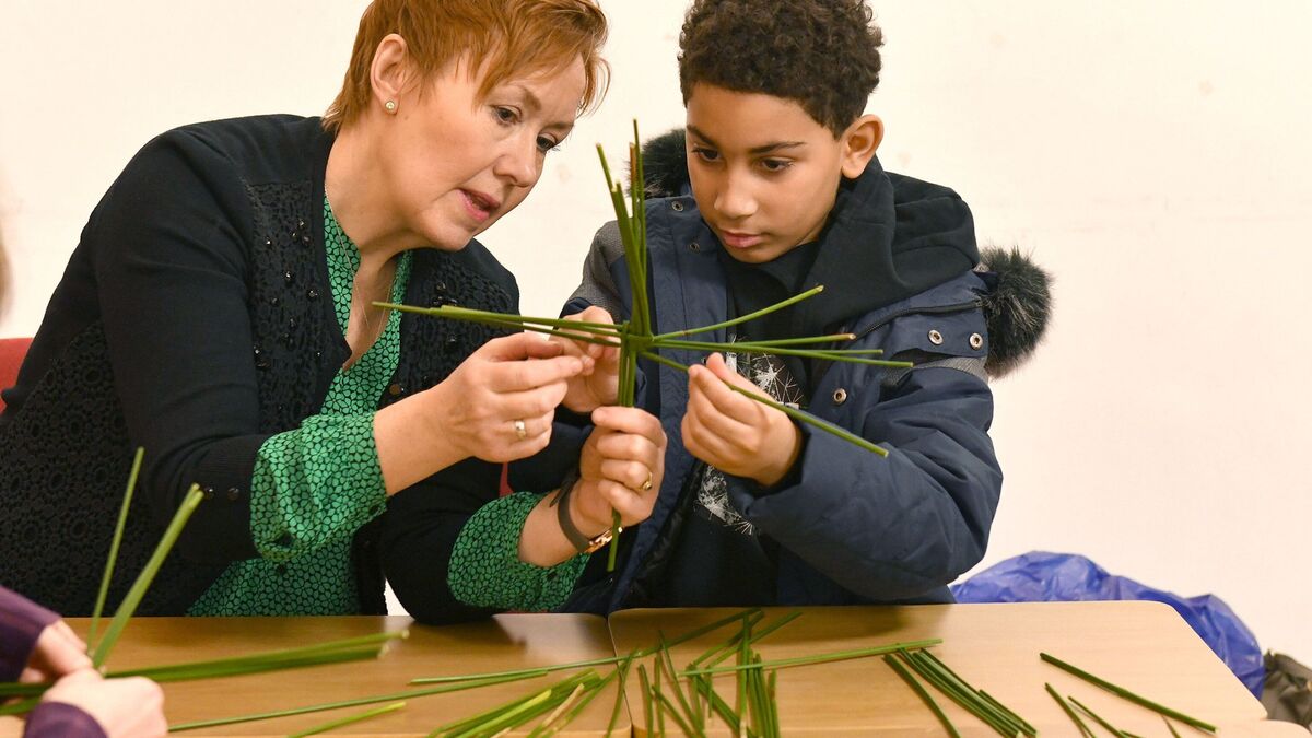 Second Summer Solstice Fair proves a success for Louth Gardeners and Growers Collective