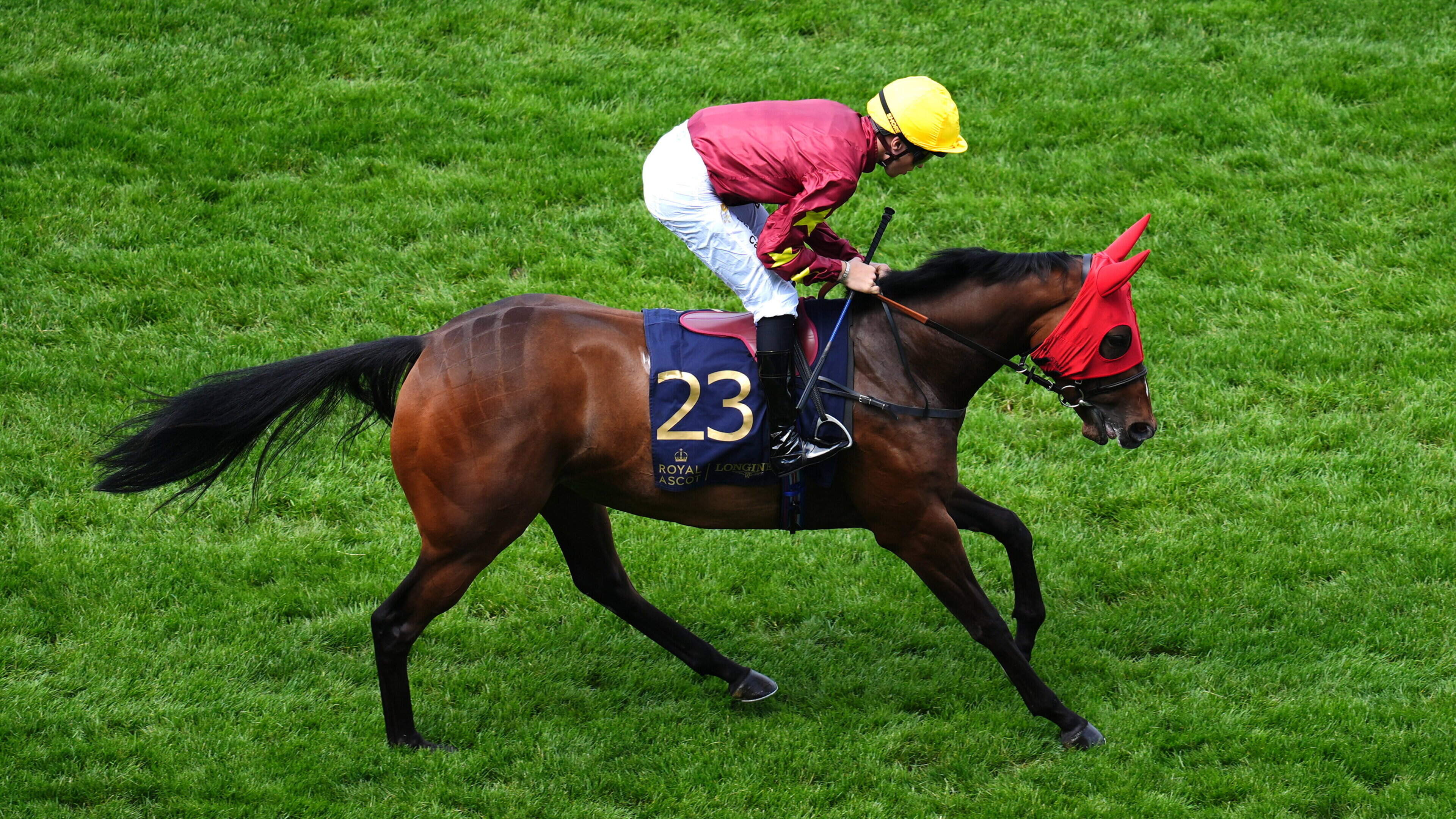 Harry Eustace is confident Shimmering Sun can justify lining up in Listed Arqana Irish EBF Marwell Stakes at Naas