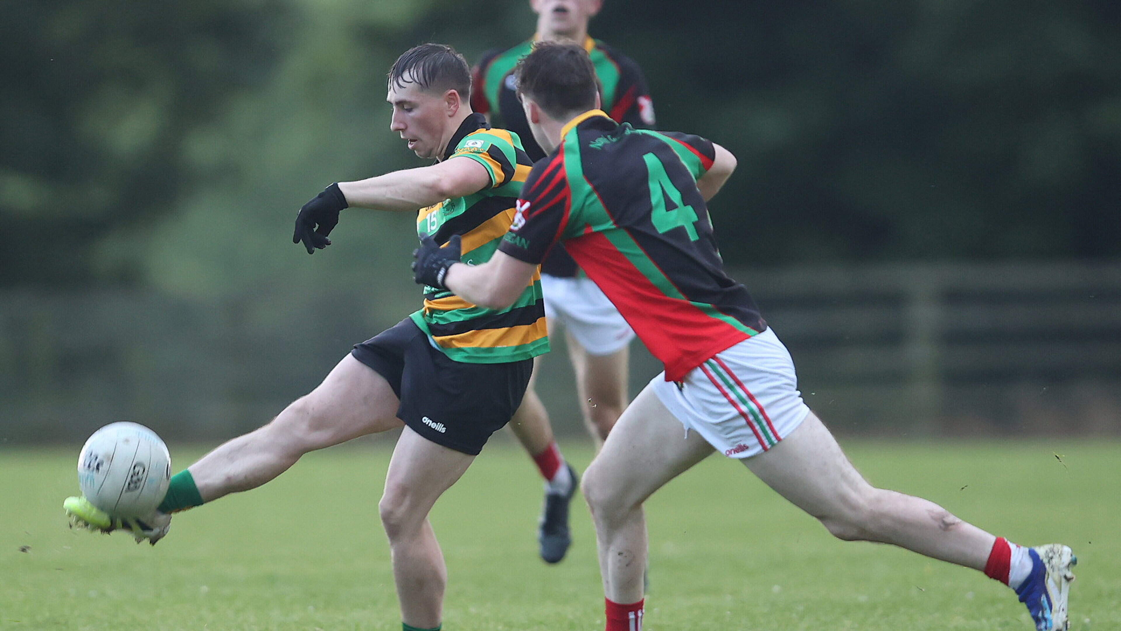 Kiltegan get the better of Hollywood in gripping contest to close in on promotion