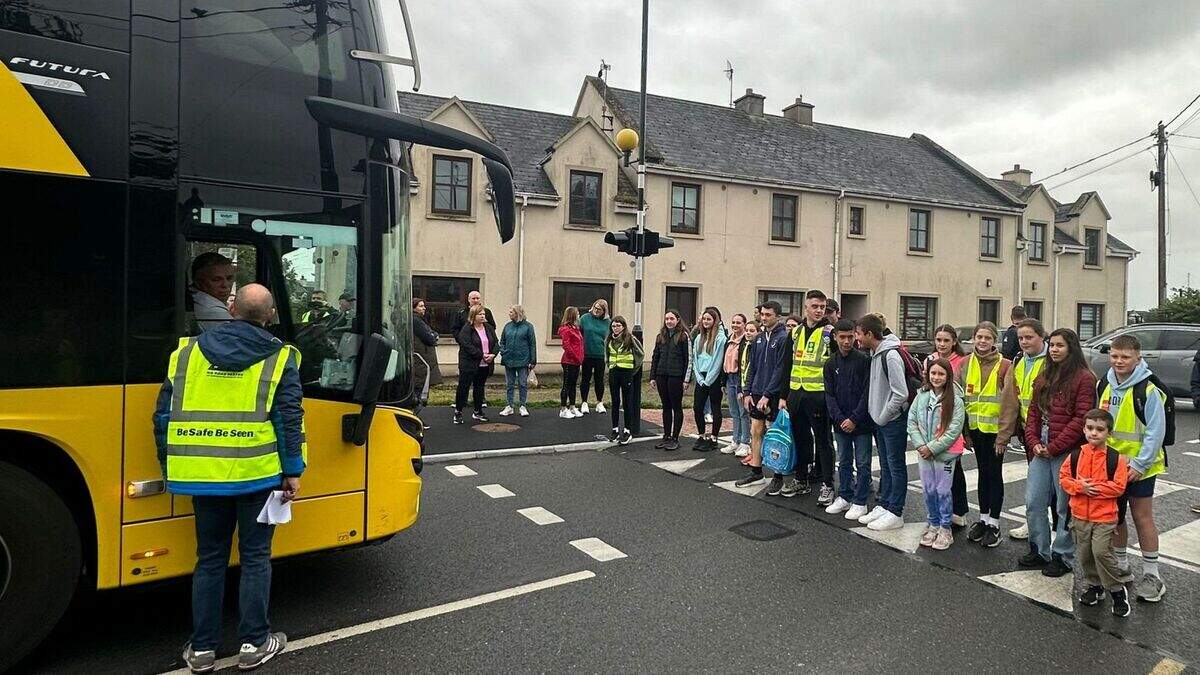 Anger grows over new school bus system in Clare as parents hold protest ...