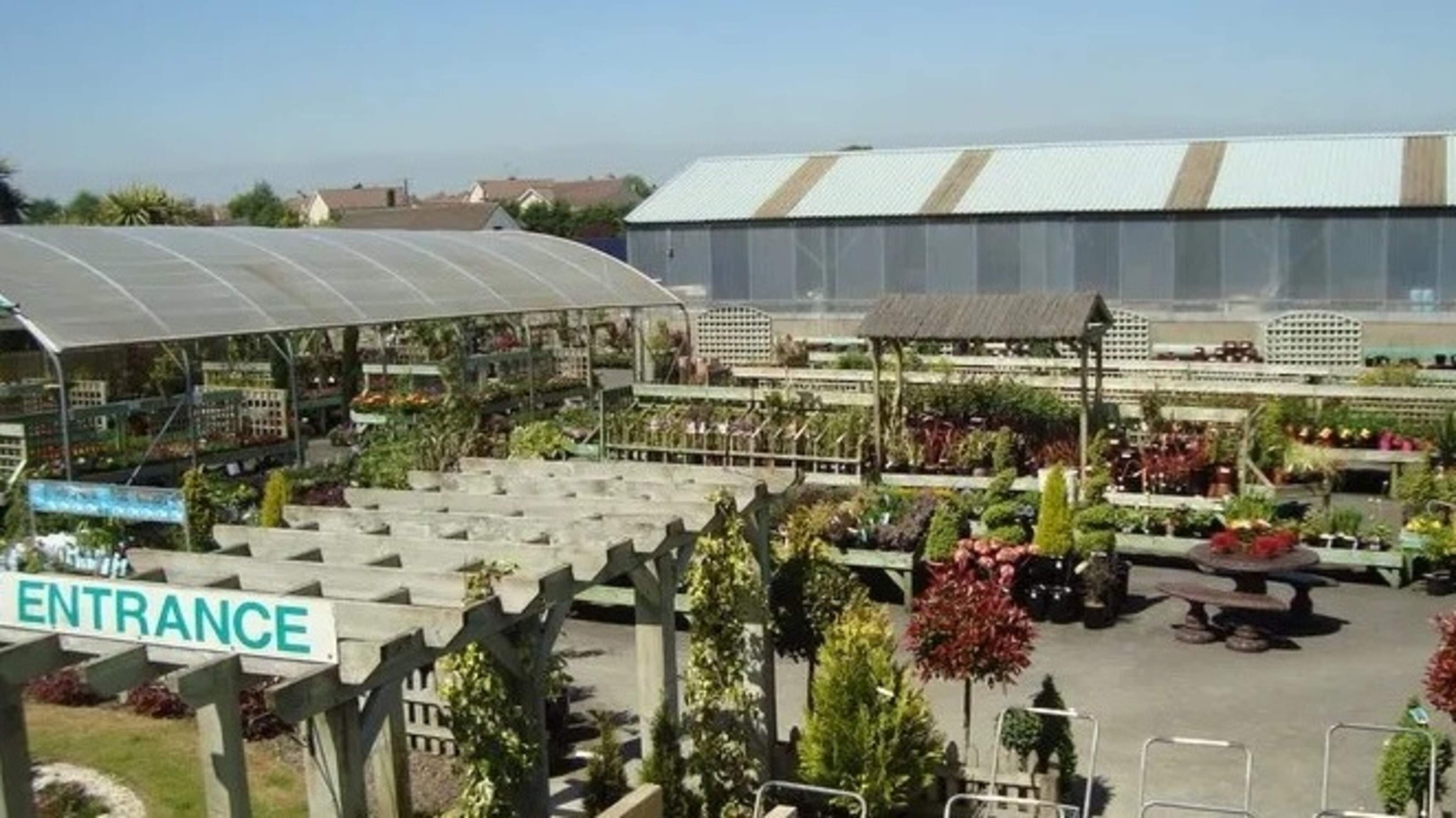 Seven Waterford exhibitors to take part in Bord Bia Bloom festival 2026