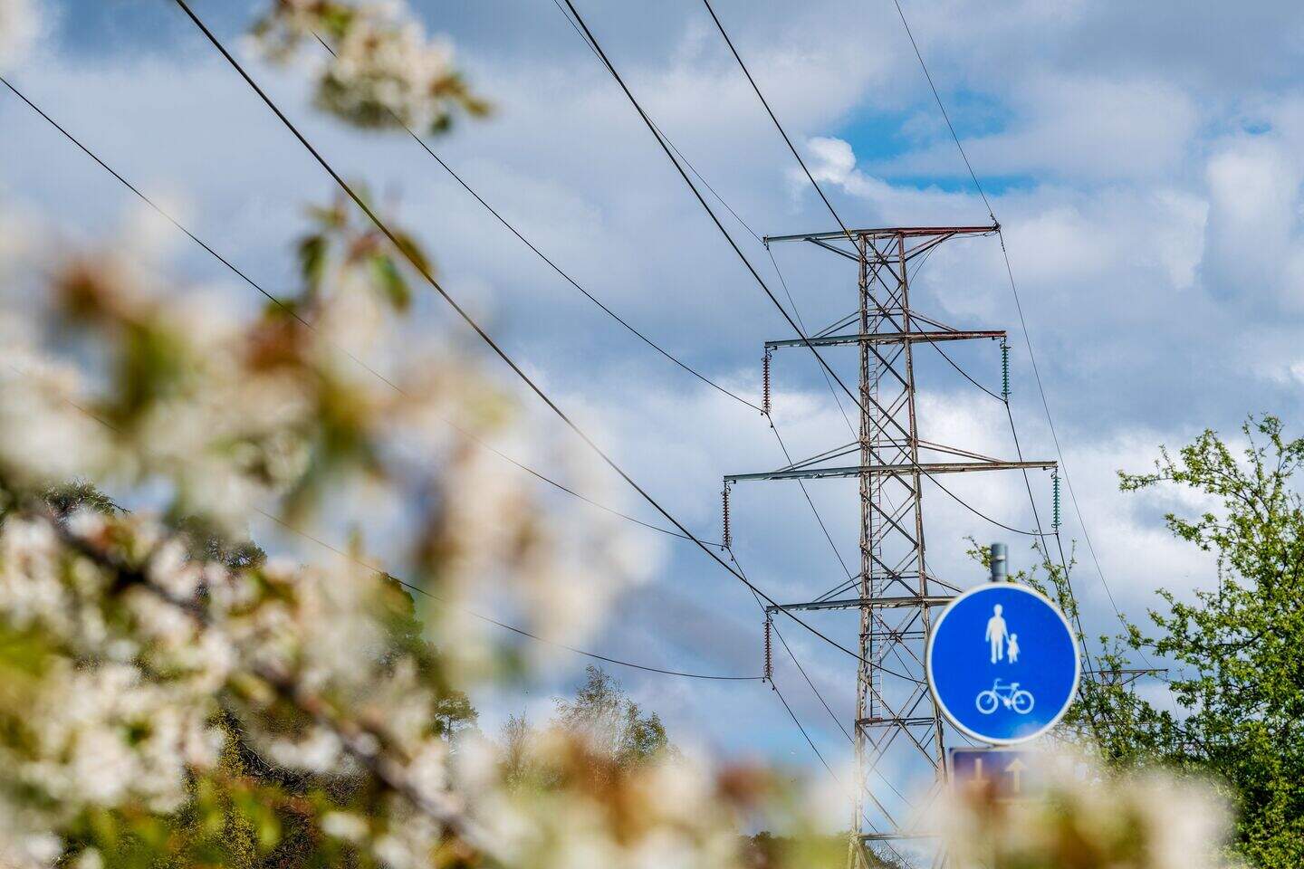 UK’s grid will boost Dubliner’s drone tech firm sees.ai | Irish Independent