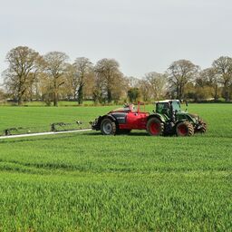 Spring crops are up — and weeds are right behind them | Irish Independent