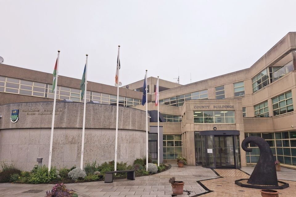 Majority of Wicklow councillors made no conference claims in first quarter of the year