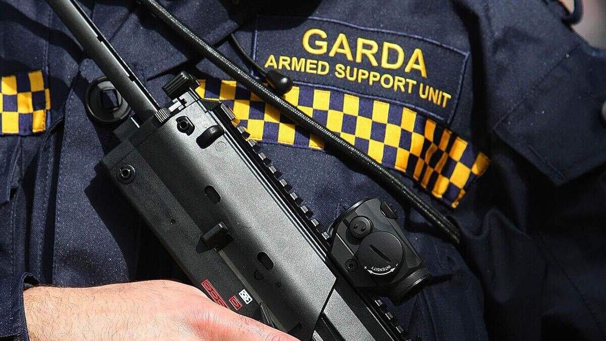 Cork farmer fired shotgun 'to protect family and property' from three men