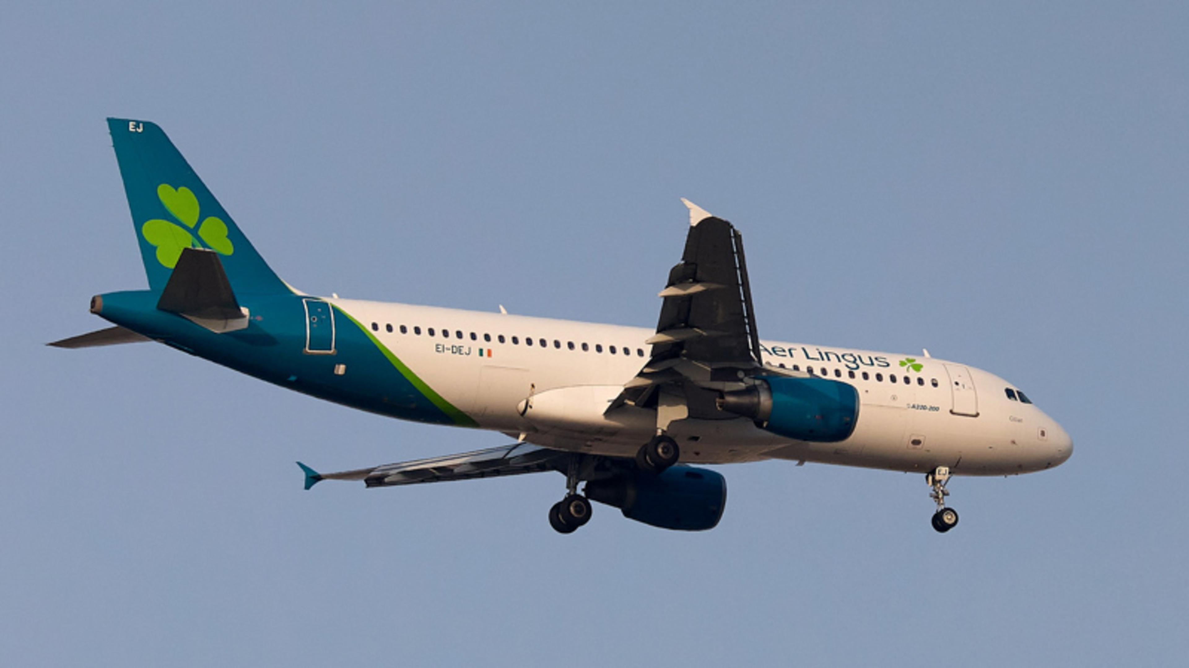 What’s on the horizon for Aer Lingus if it fails to hit financial targets after cutbacks?