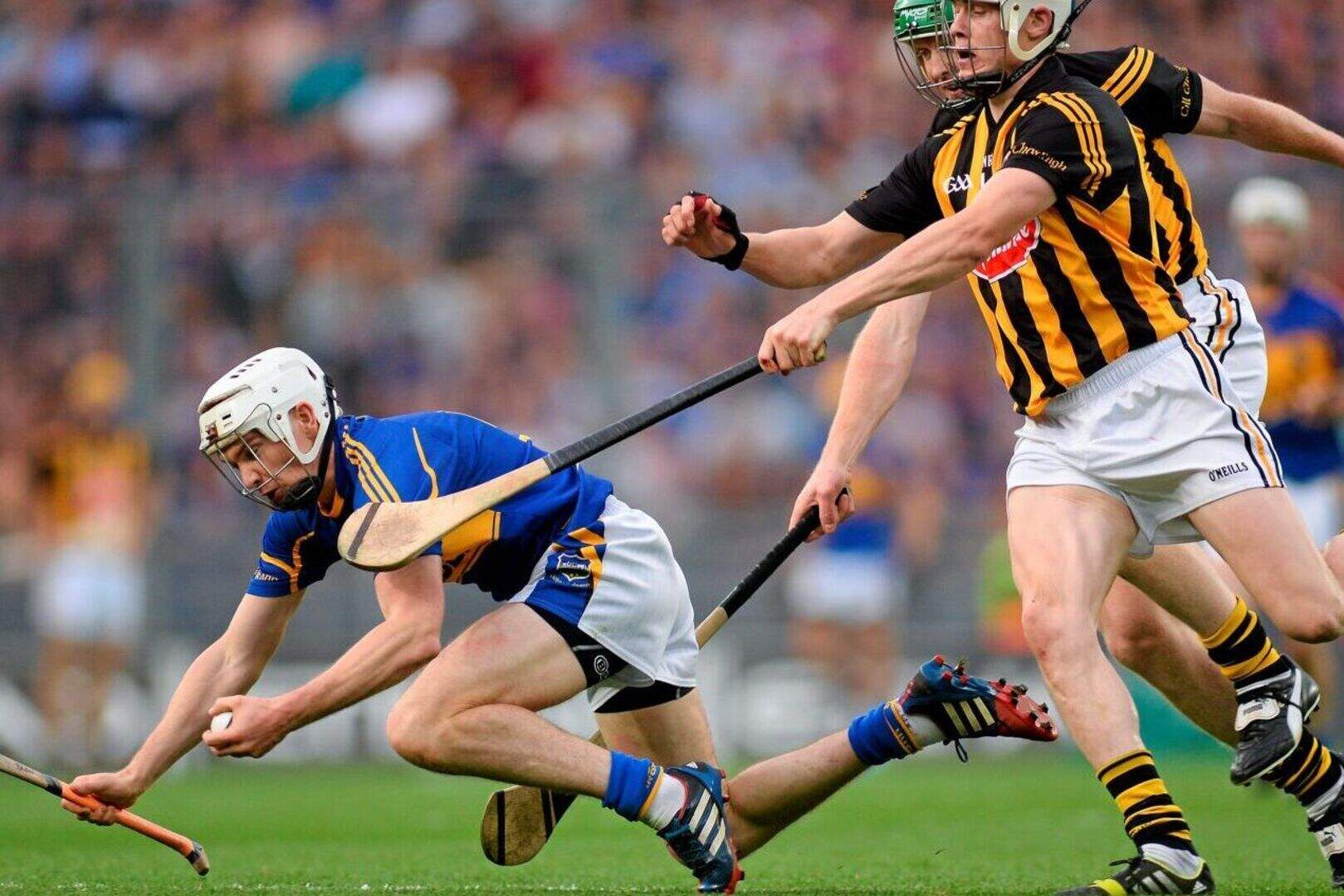 Shefflin and Cody set records in Kilkenny's 35th All-Ireland win ...