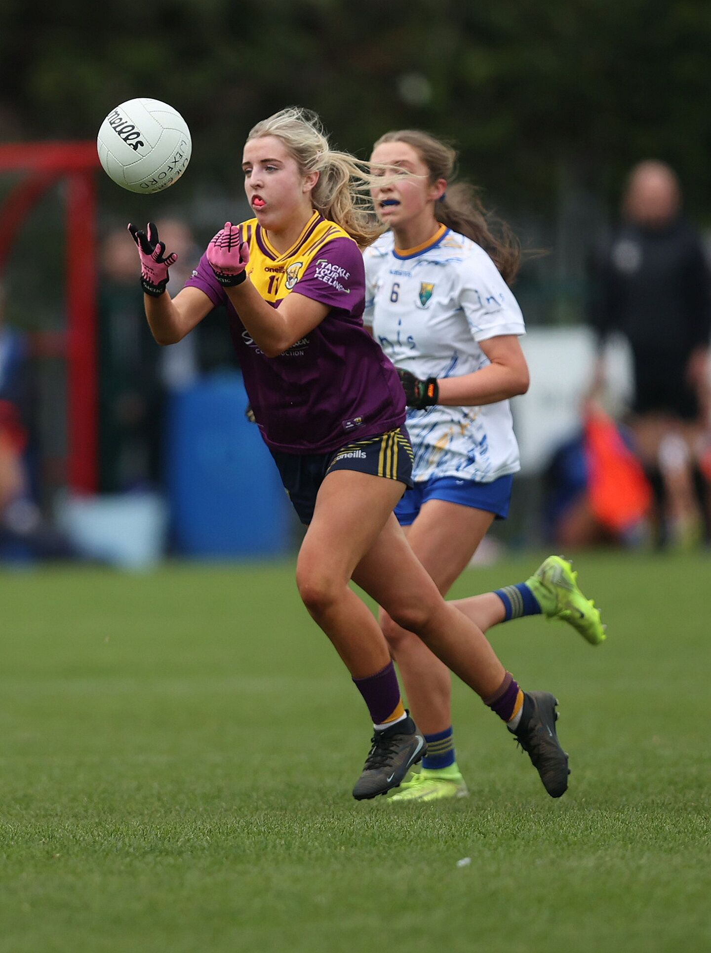 Wicklow way too strong for their near neighbours Wexford in Leinster ...
