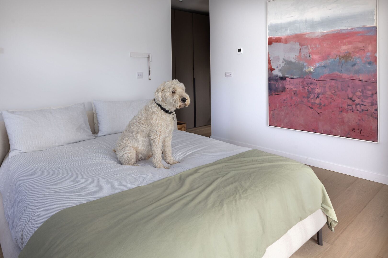 The couple&rsquo;s beloved WheatenTerrier Noodles in the bedroom. The bed is from Ligne Roset. Photo: Tony Gavin
